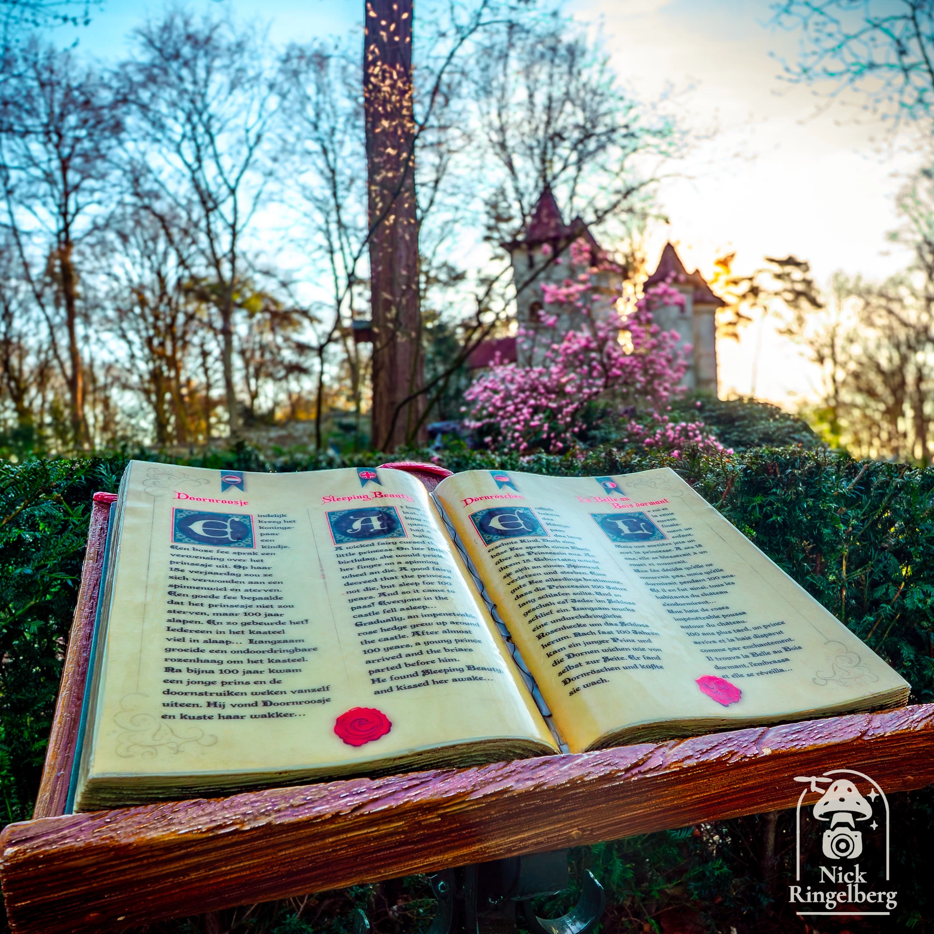 Het is weer die ene week dat je dit op de foto kan zetten... #efteling #doornroosje #sprookjesbos #pink