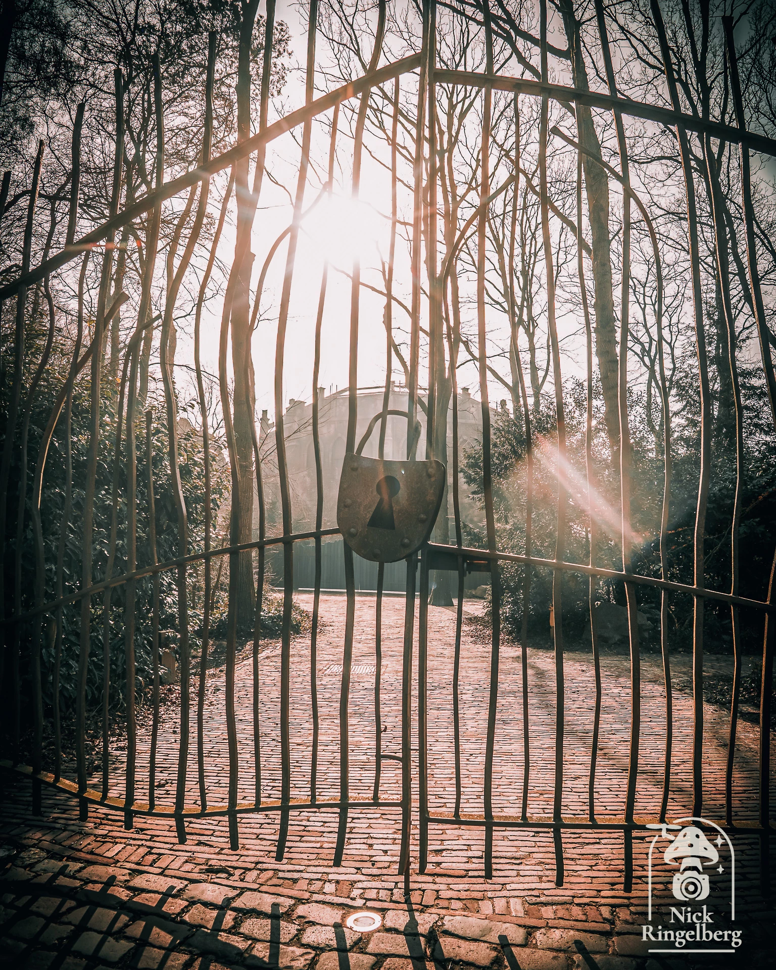 Nu de spookslotpoort gesloten is, is daarachter een onverwacht nieuw stukje ruimte vrijgekomen. Genoeg plek voor een spannende invulling. Wat zou jij daar graag zien als attractie? #efteling #themeparks #pretpark #spookslot
