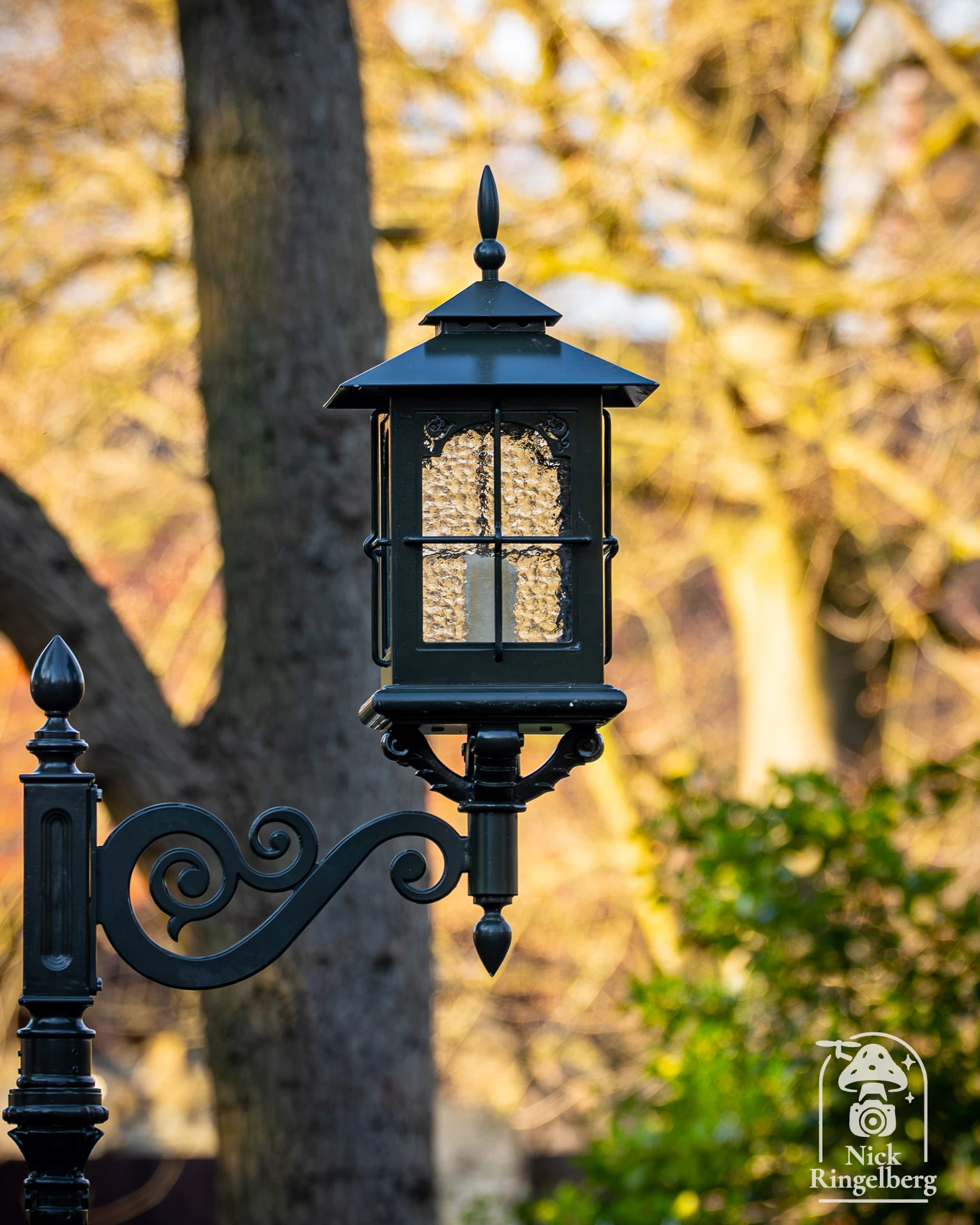 Wat een verschillende lantarenpalen. Langs het nieuwe pad hebben er een paar kroontjes gekregen. #efteling #sprookjesbos