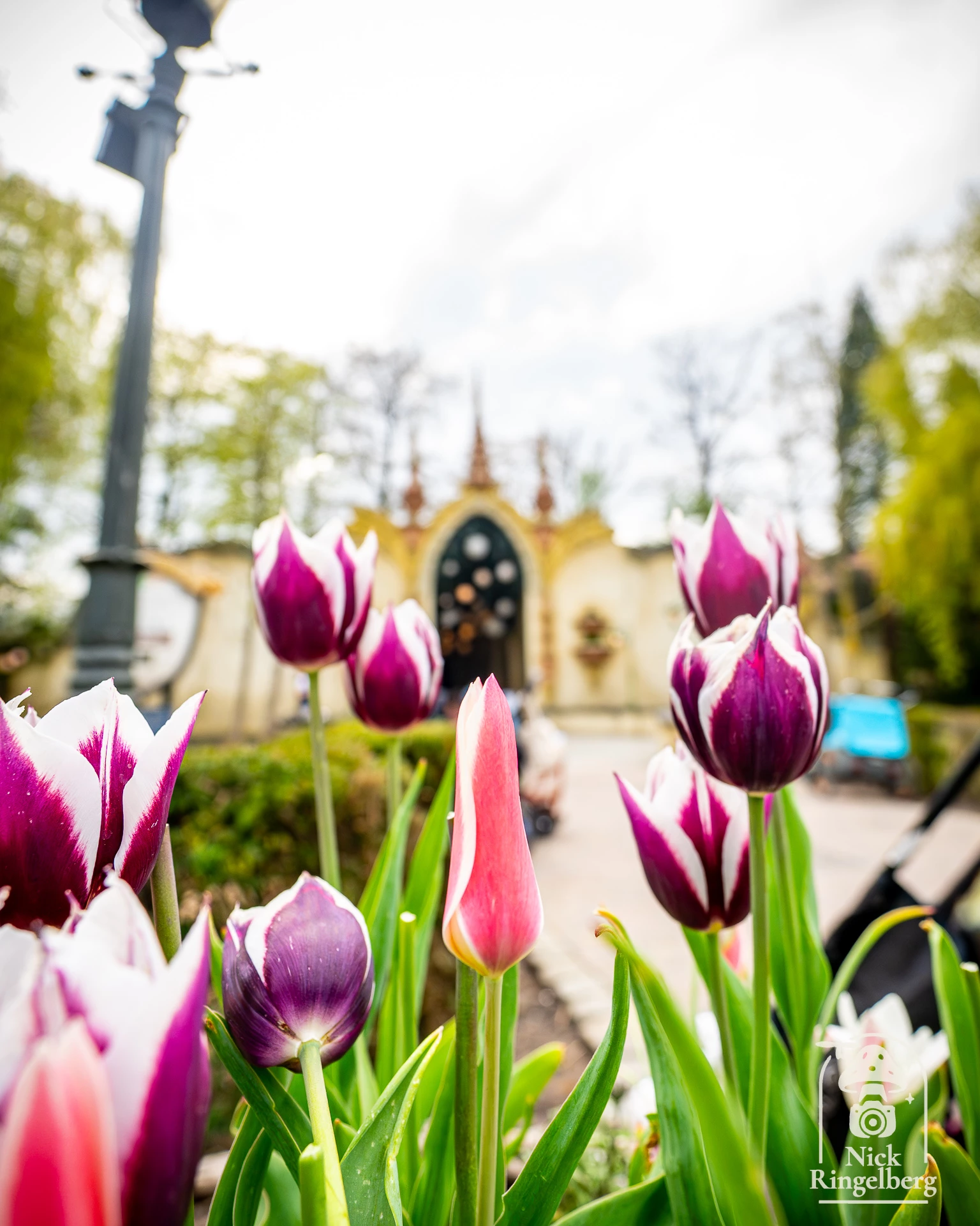 Lente in de Efteling Ik ben eigenlijk meer fan van de Herfst, maar nu is het ook mooi ❤️ #efteling #themeparks #lente #pretpark #brabant