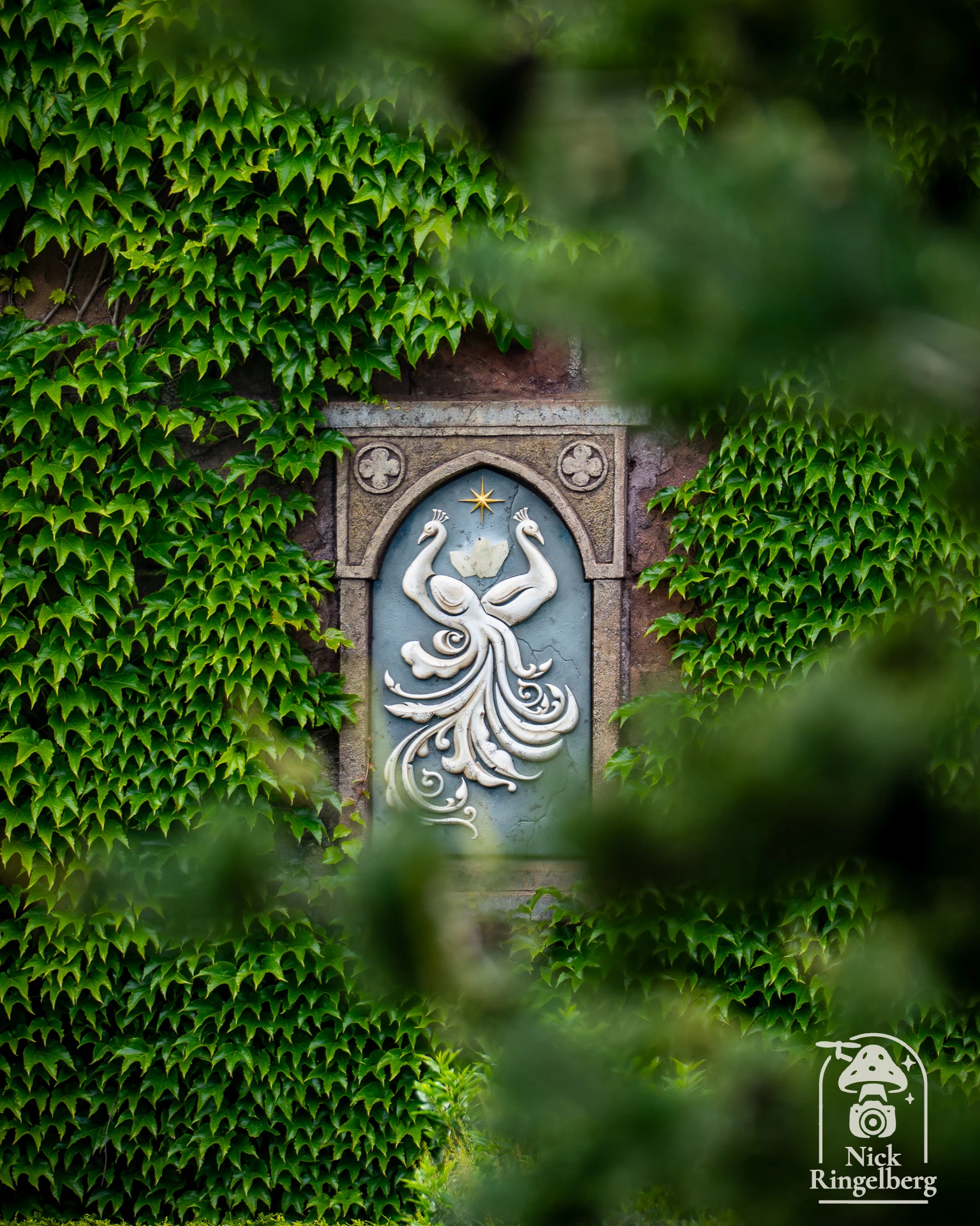 De Efteling ❤️ #efteling #themeparks #doorkijkje #brabant #lente #vogelrok