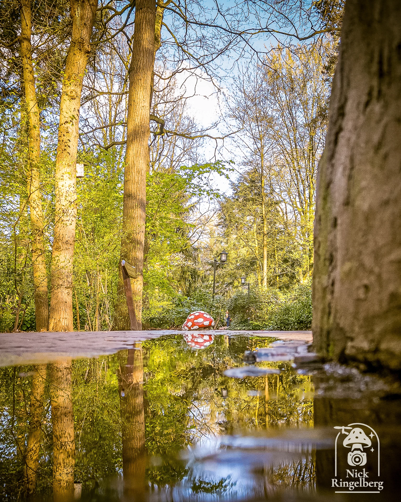 Efteling door mijn lens #efteling #themeparks #brabant #pretparken