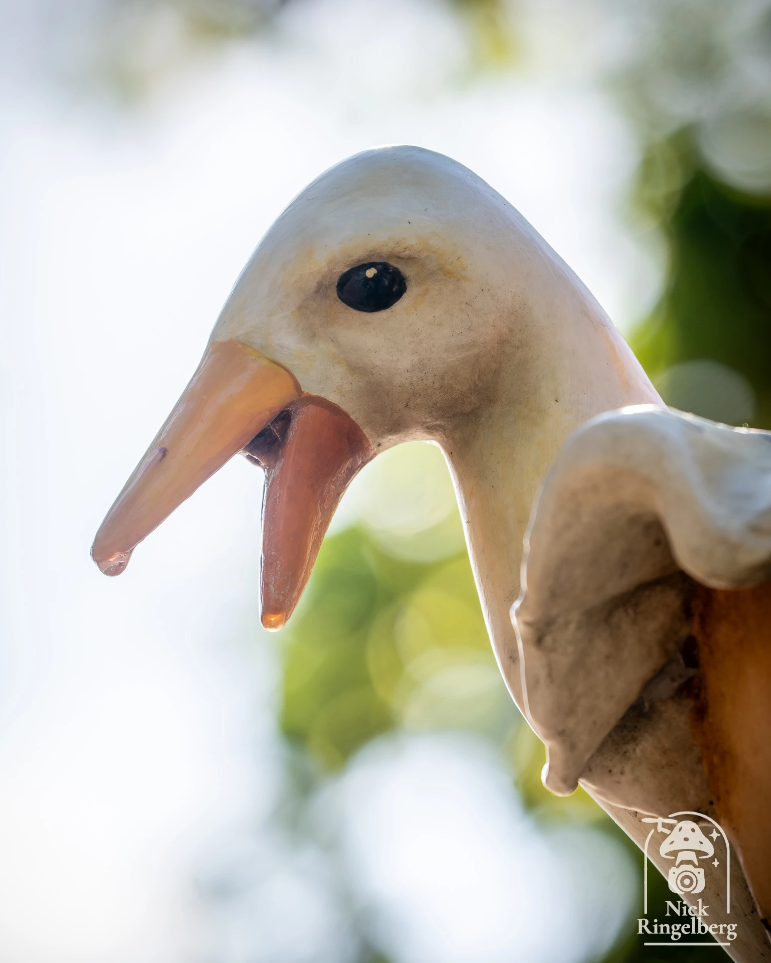 Details bij de Efteling #efteling #themeparks #brabant #details #sprookjesbos