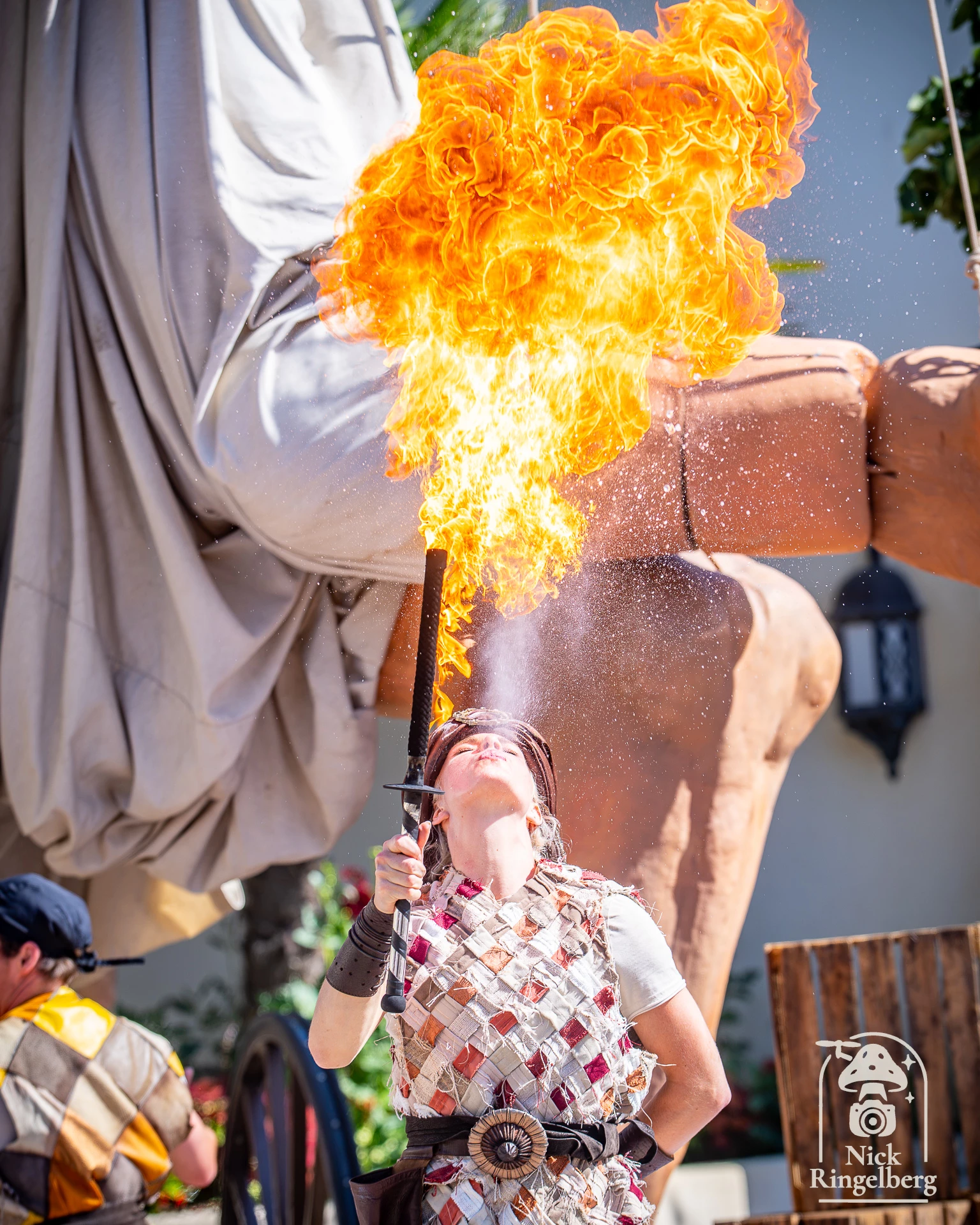 Efteling Zomer Festival! #efteling #zomerfestival #themeparks #summer #brabant