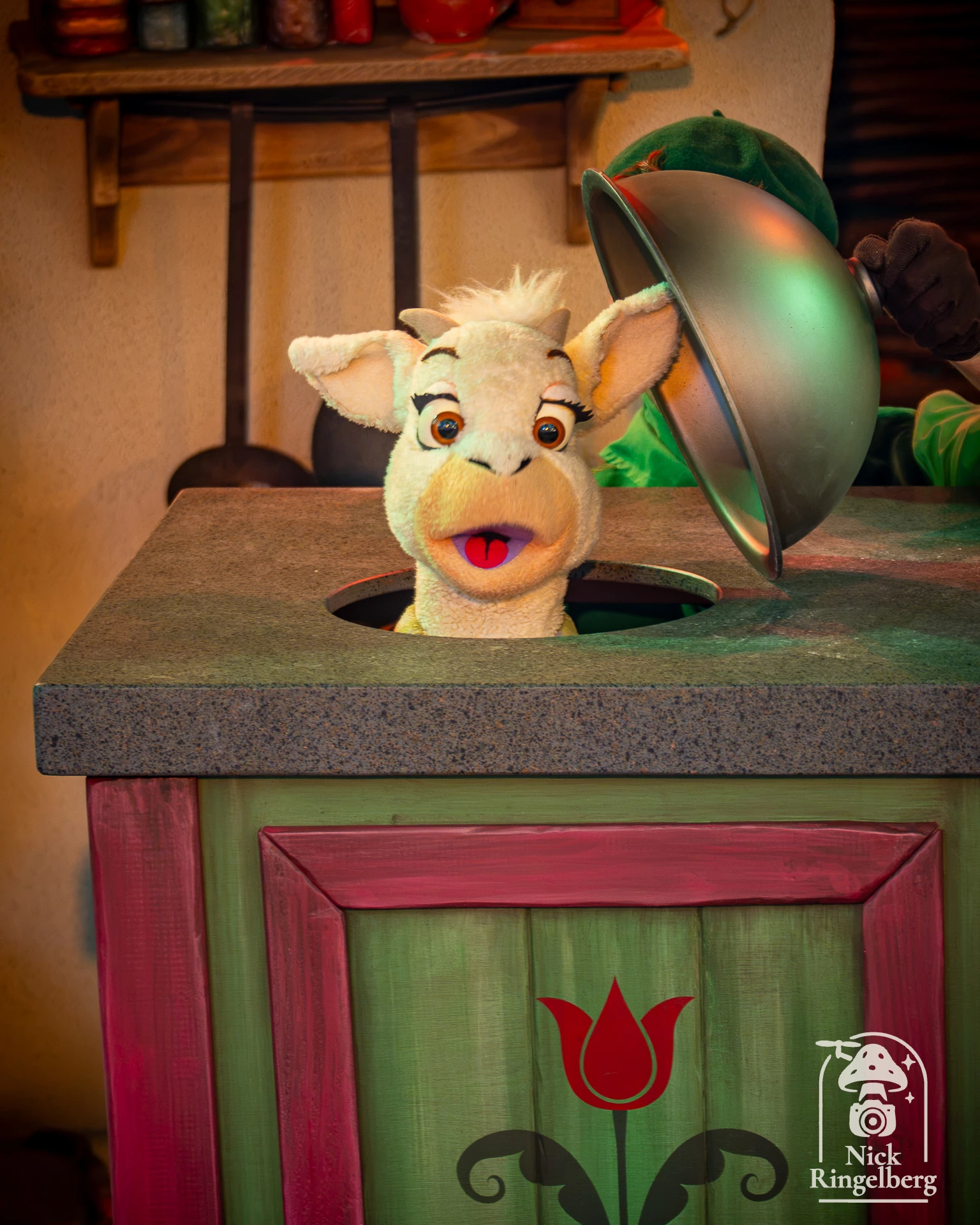 Efteling Zomer Festival! #efteling #zomerfestival #themeparks #summer #brabant