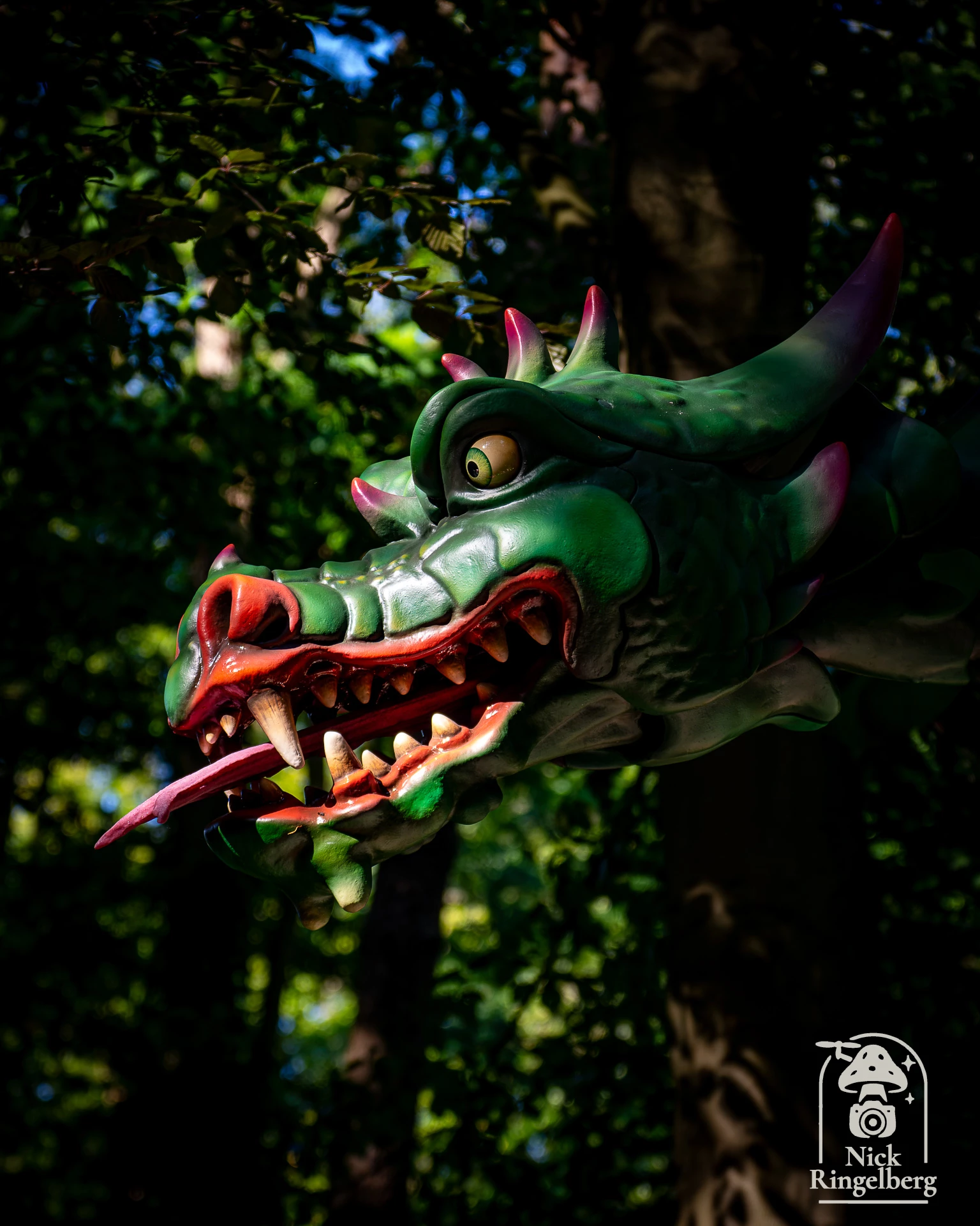 Draak Lichtgeraakt! Ziet er weer vet uit! Super die bewegingen! #efteling #sprookjesbos #themeparks #dragon