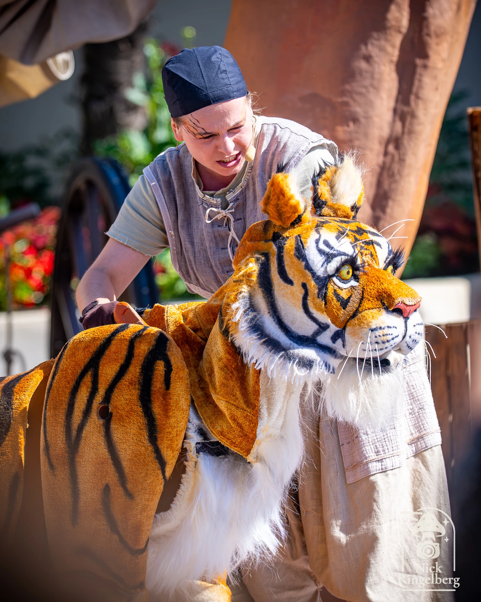 De Efteling 🥳 #efteling #themepark #entertainment #brabant