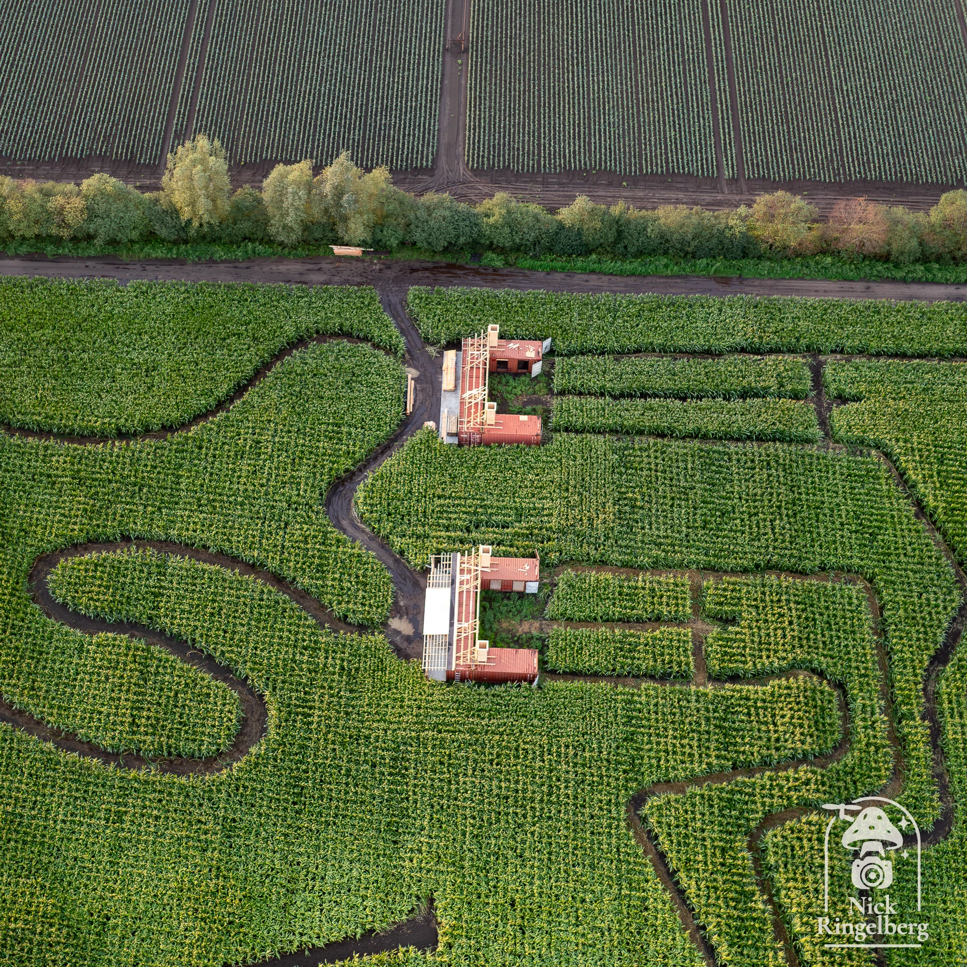 Schuift Halloween in Toverland dit jaar weer? Wordt het pompoenveld verplaatst en komt hier overdag een mini-kinderdoolhof? En verhuist Cirque naar het veldje waar deze zomer Hans met zijn tent stond? #Toverland #Halloween