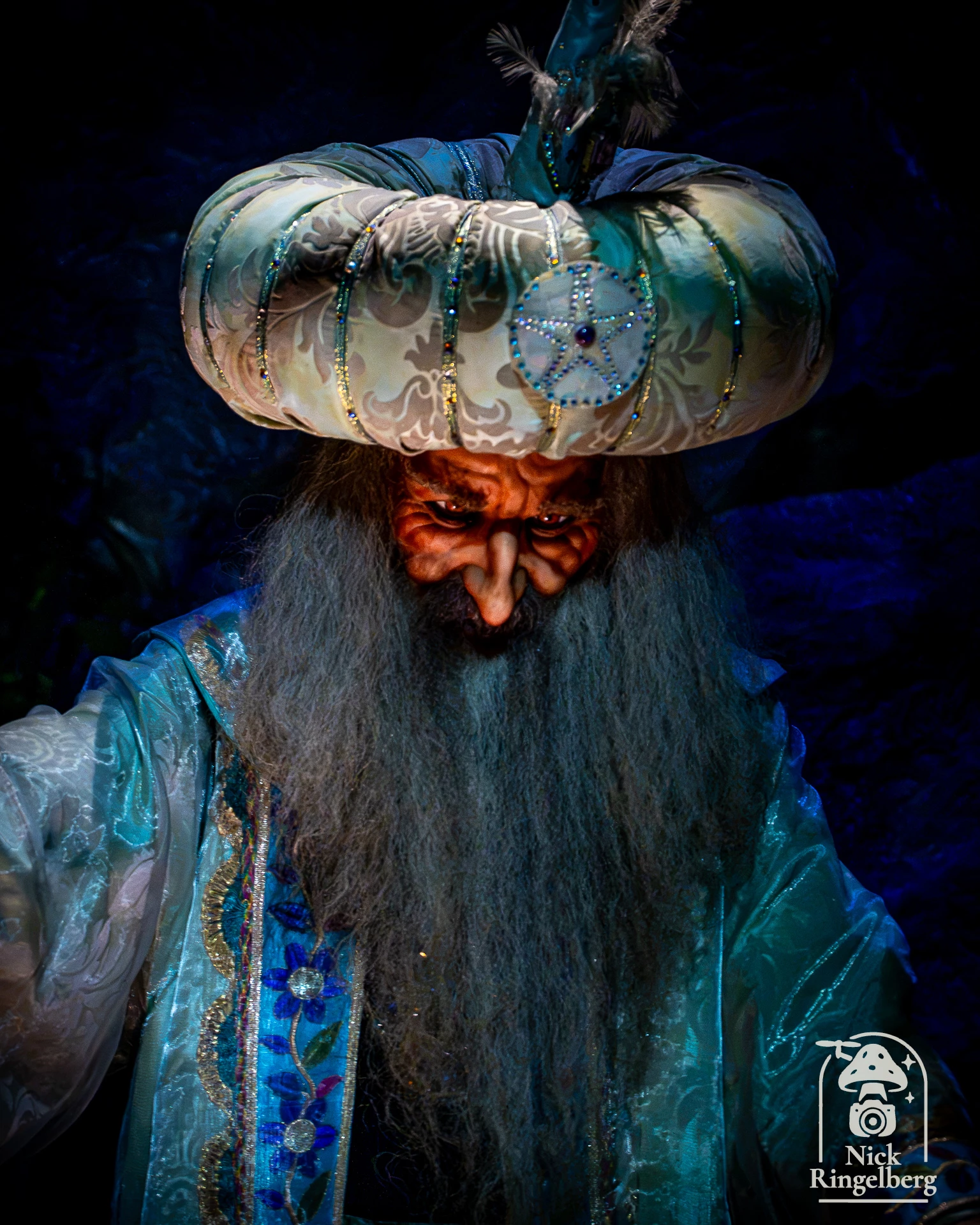 Efteling! #efteling #themeparks #magic #happyplace #brabant