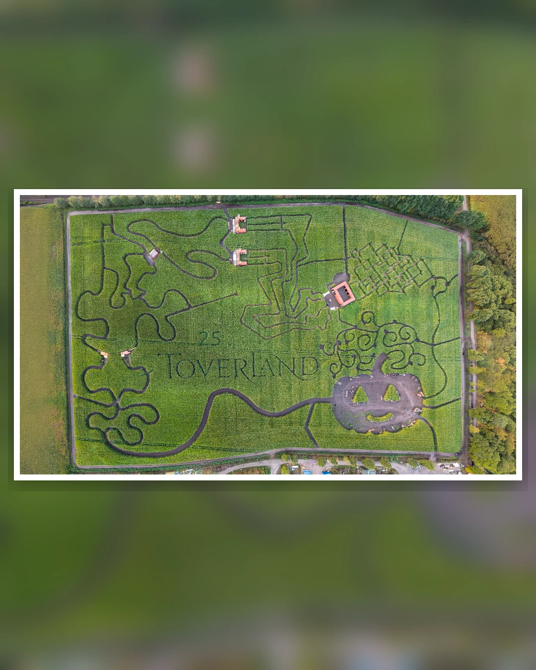 Doolhof! #toverland #themeparks #maze #labyrint #halloween
