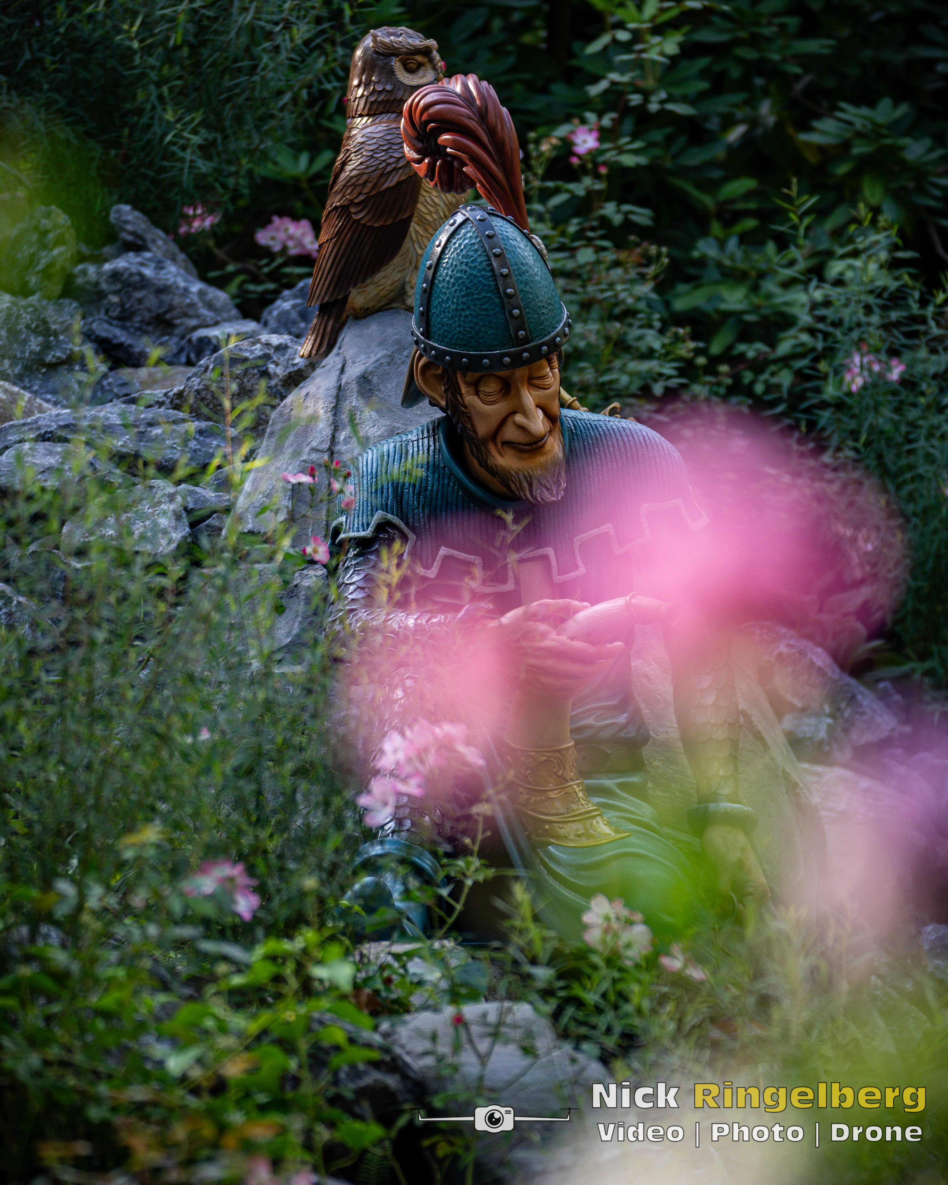 Doornroosje Detail foto wachter en uil