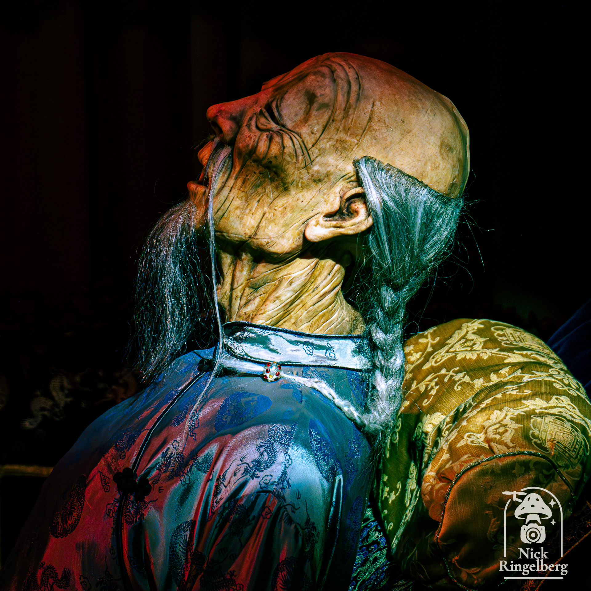 De chinese nachtegaal