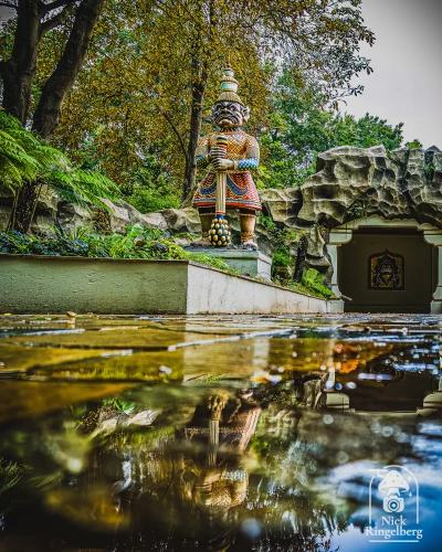 De Efteling ❤️

#efteling #themeparks #pretparken #brabant