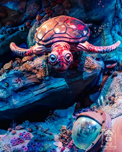 Een paar random Efteling foto's ❤️
Deel je eigen mooiste Efteling foto in je story op #instagram en tag me!

#efteling #themeparks #happyplace #brabant #enjoy #pretpark