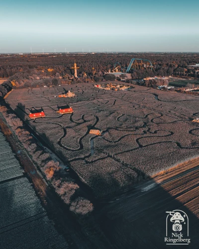 Halloween in Toverland is weer begonnen, maar de start van gisteren liep niet helemaal zoals gepland…
Later kwam de sfeer gelukkig goed op gang.
Was jij erbij? Hoe heb jij de avond ervaren: goed geregeld, chaos of ergens ertussenin?
#Toverland #Hallowe