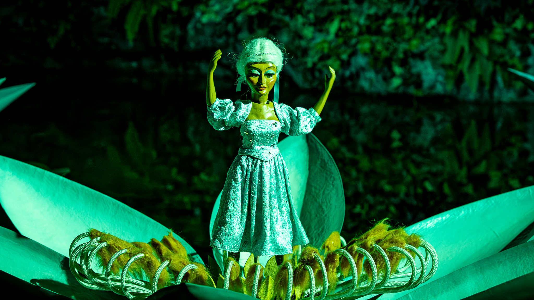 De Indische Waterlelies