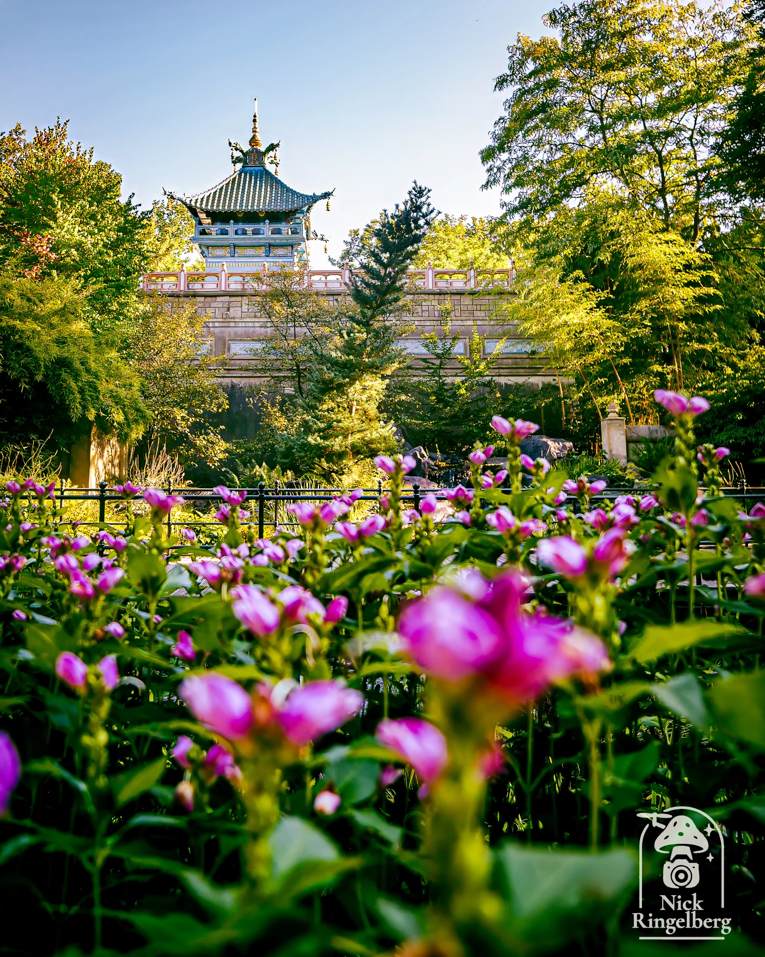 Een mooie foto herinnering aan de Chinese Nachtegaal En natuurlijk nog wat meer mooie foto's #efteling #sprookjesbos #chinesenachtergaal #themeparks
