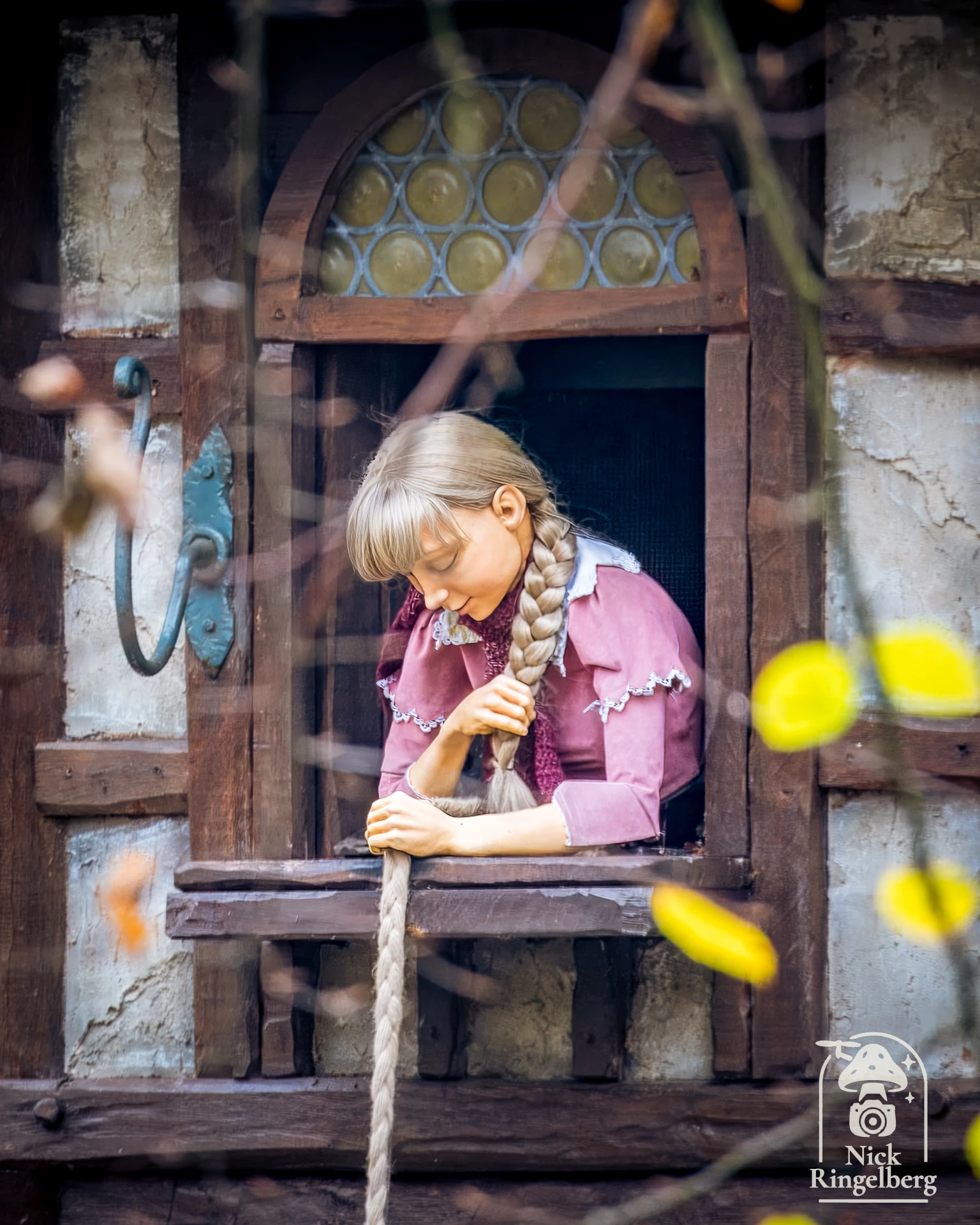 Een mooie foto herinnering aan de Chinese Nachtegaal En natuurlijk nog wat meer mooie foto's #efteling #sprookjesbos #chinesenachtergaal #themeparks
