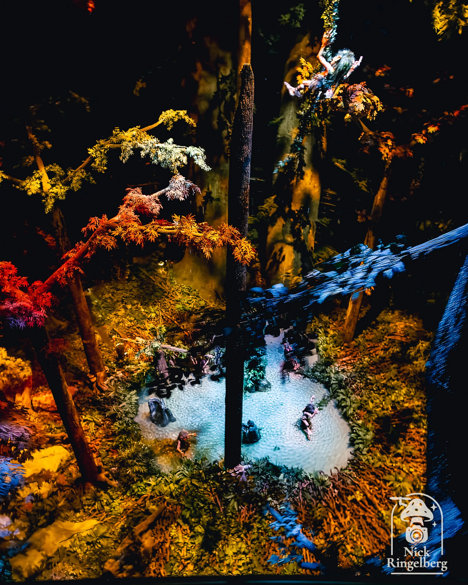 De Efteling, voor de een is het een gekke kinderachtige hobby… en voor de ander? Wat is jouw antwoord? Laat het hieronder weten :-) #efteling #themeparks #sprookjesachtig #magic