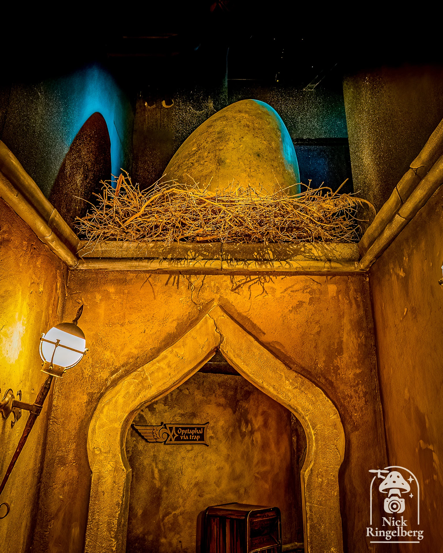 Een paar random Efteling foto's ❤️ Deel je eigen mooiste Efteling foto in je story op #instagram en tag me! #efteling #themeparks #happyplace #brabant #enjoy #pretpark