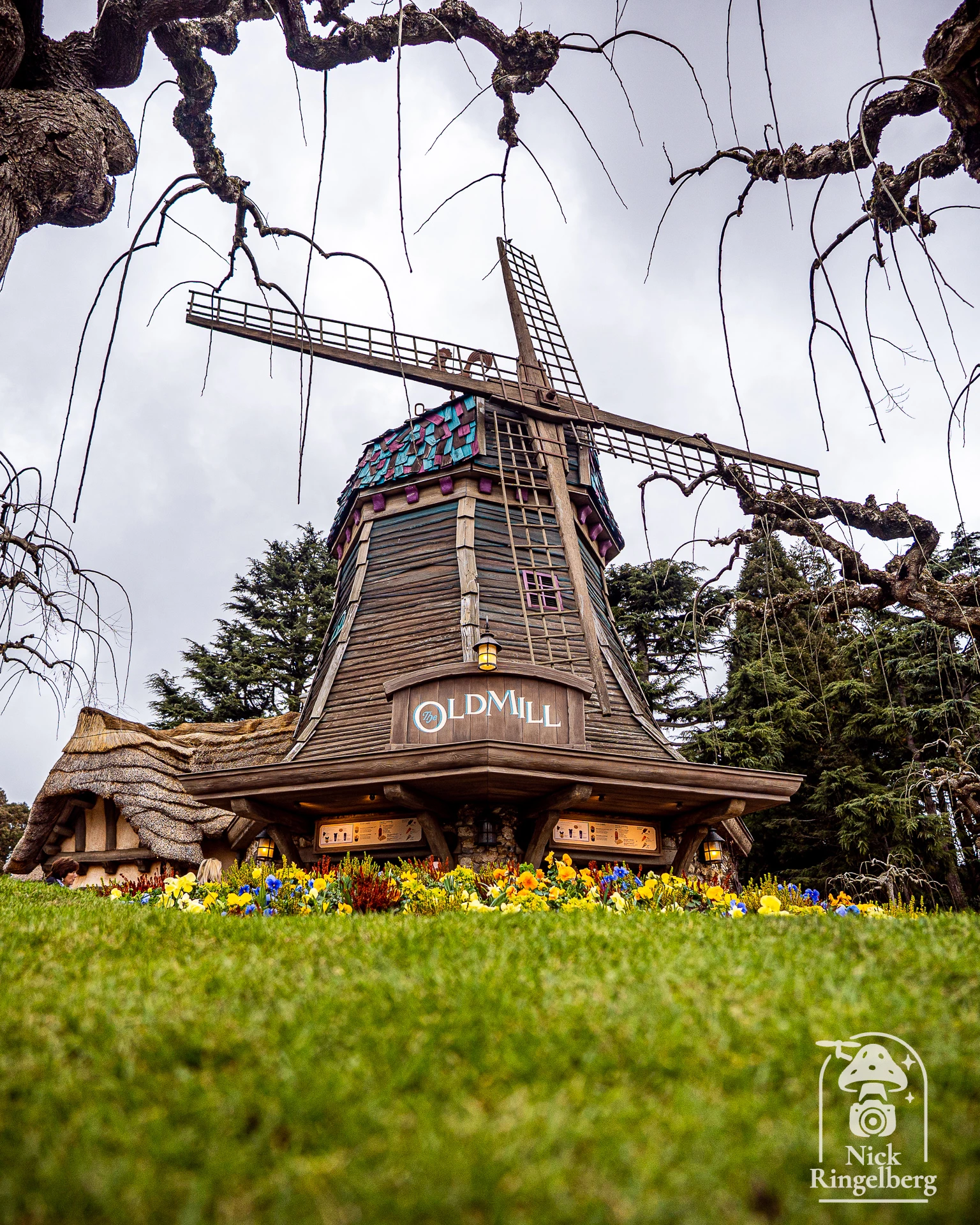 Disneyland Parijs! Al 7276 dagen geen nieuwe Attractie #disneylandparijs #disney #paris #themepark