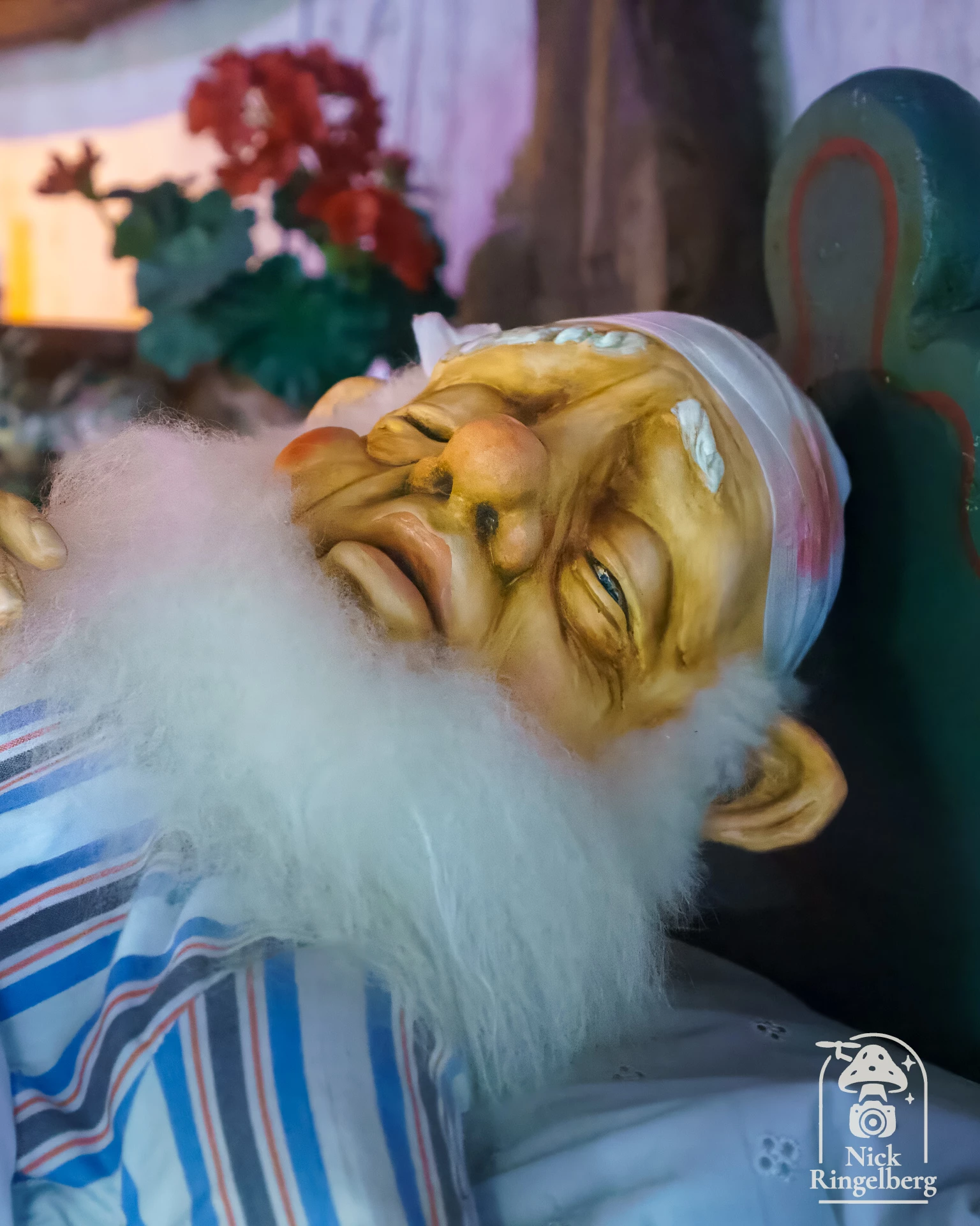 De Efteling, voor de een is het een gekke kinderachtige hobby… en voor de ander? Wat is jouw antwoord? Laat het hieronder weten :-) #efteling #themeparks #sprookjesachtig #magic