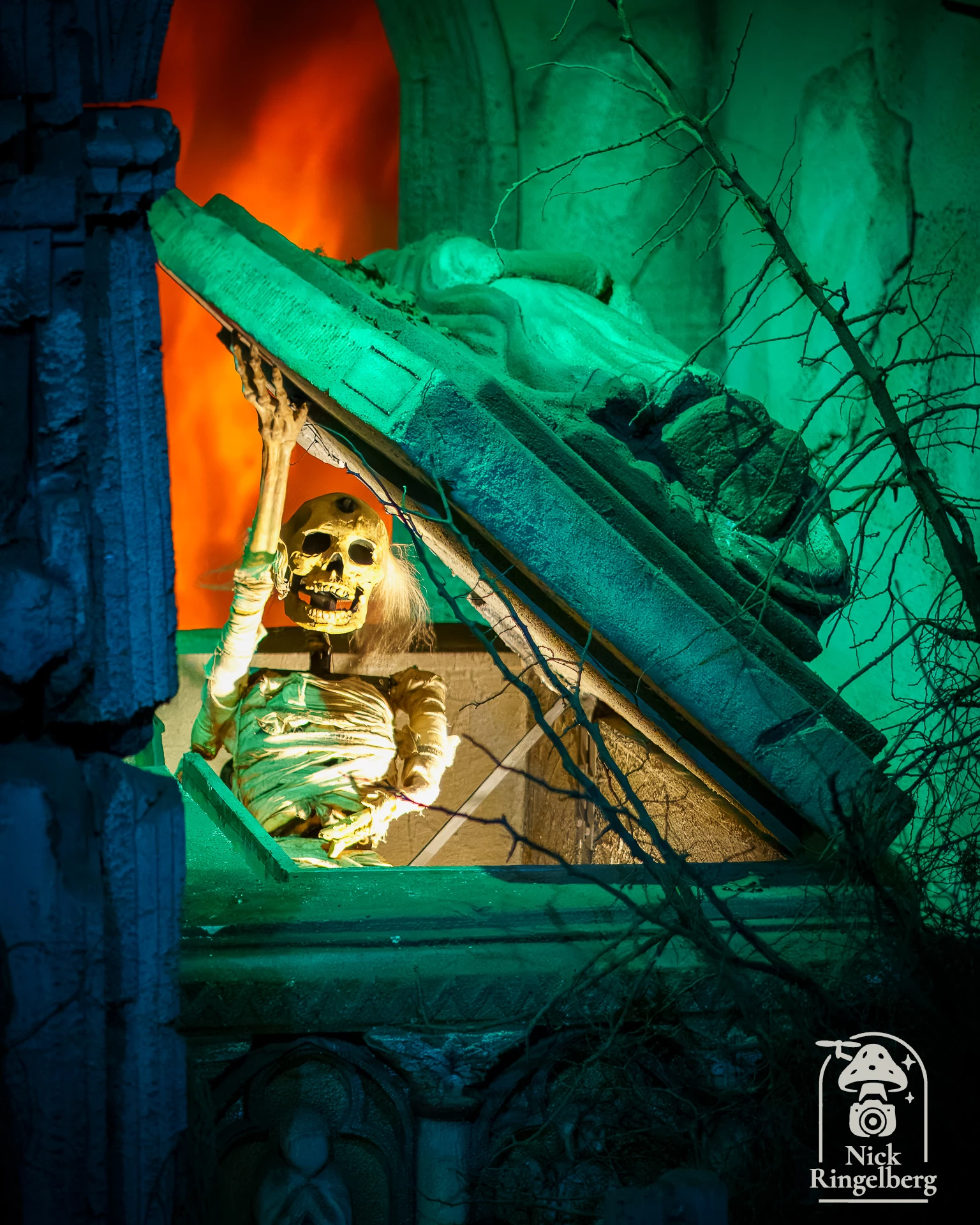 De Efteling #efteling #themeparks