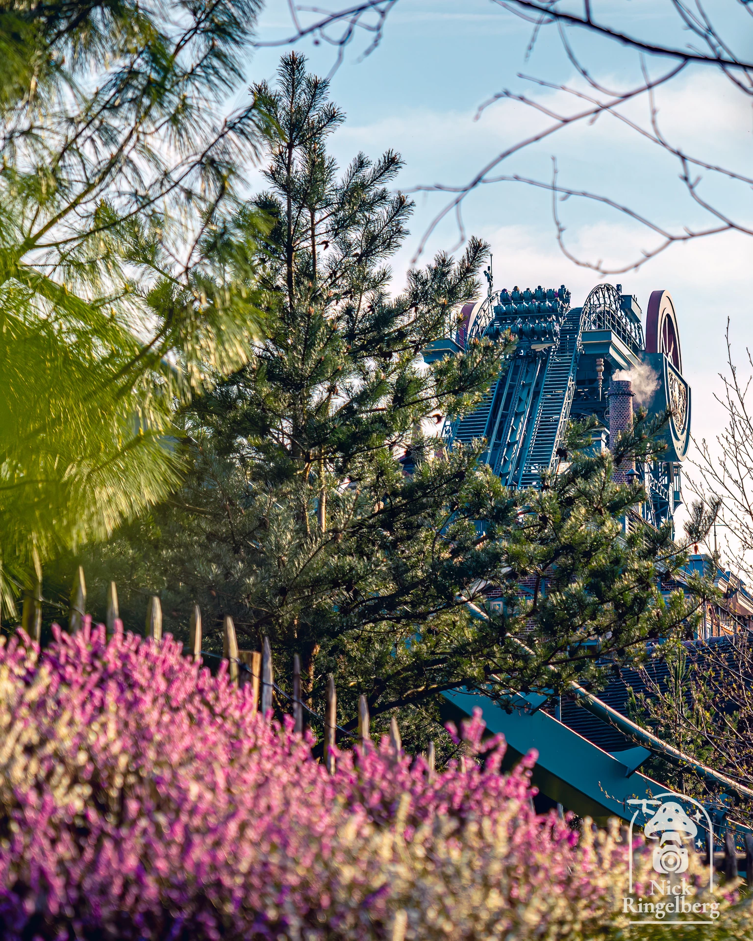 Weekend!!!!! 😱❤️

#efteling #sprookjesbos #themeparks