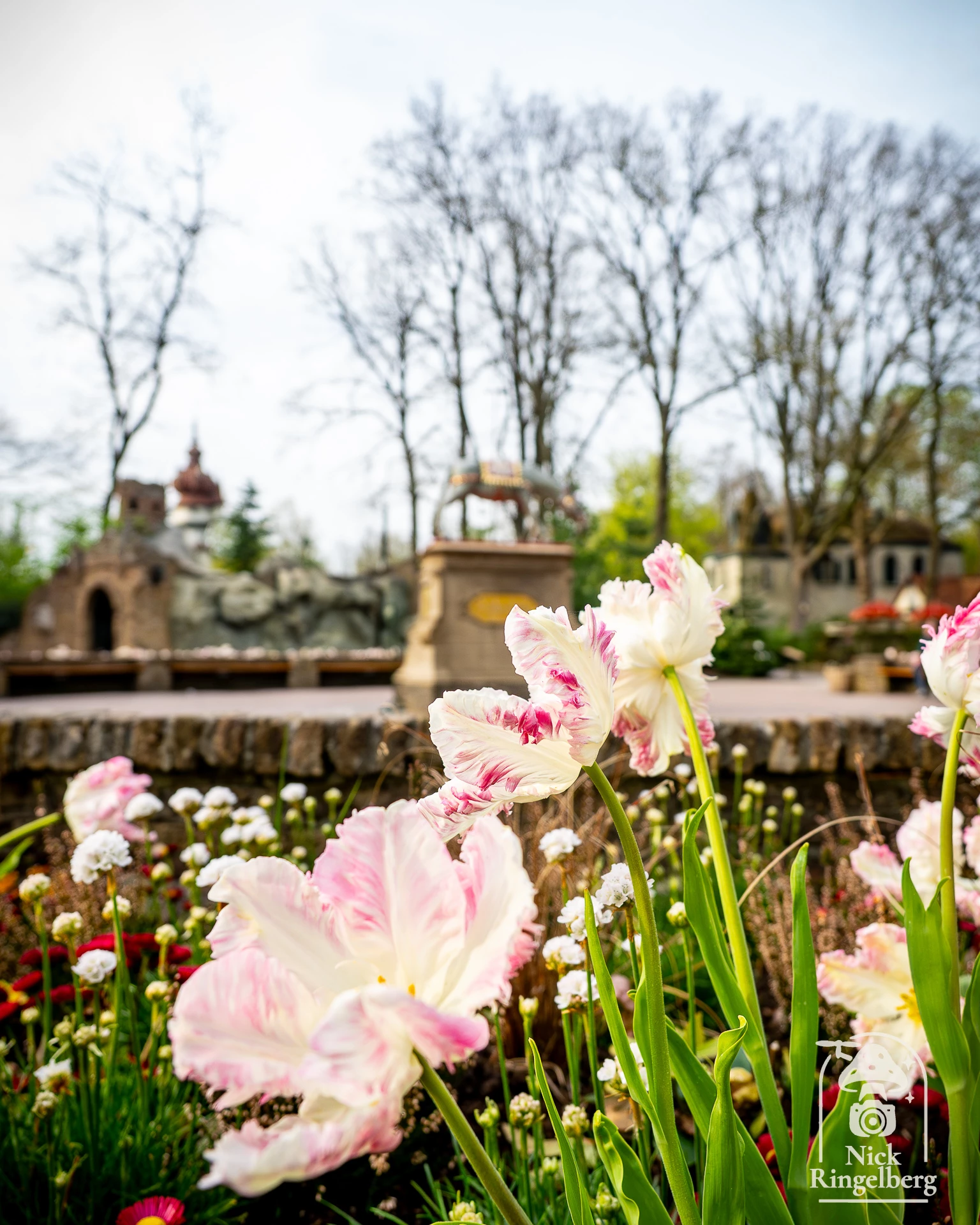 Lente in de Efteling Ik ben eigenlijk meer fan van de Herfst, maar nu is het ook mooi ❤️ #efteling #themeparks #lente #pretpark #brabant