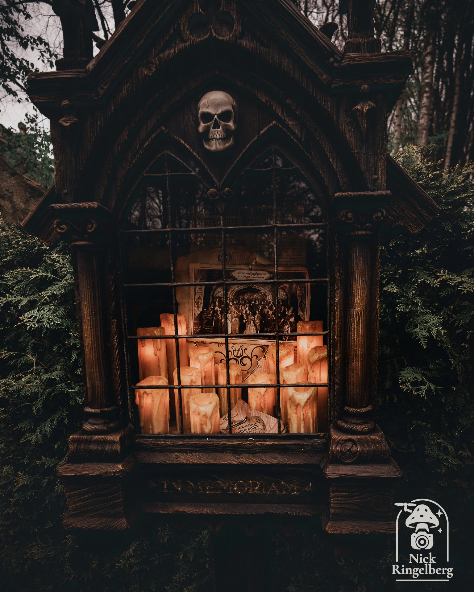 Danse Macabre 😱❤️ #efteling #themeparks #pretparken #dansemacabre