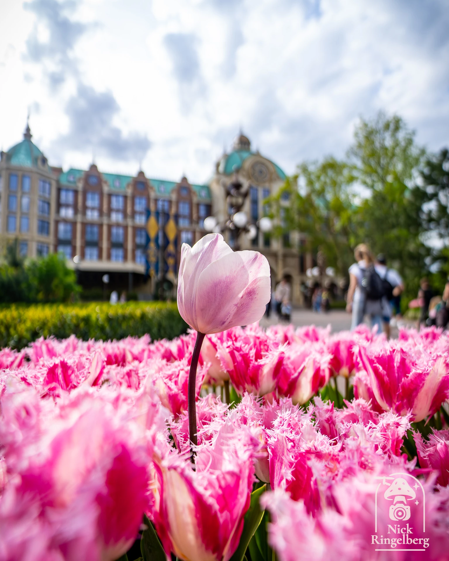 Lente in de betoverende Efteling ❤️ #Efteling #EftelingLente #Lente #Voorjaar #Sprookjesachtig #Magisch #Pretpark #baron1898 #themeparks