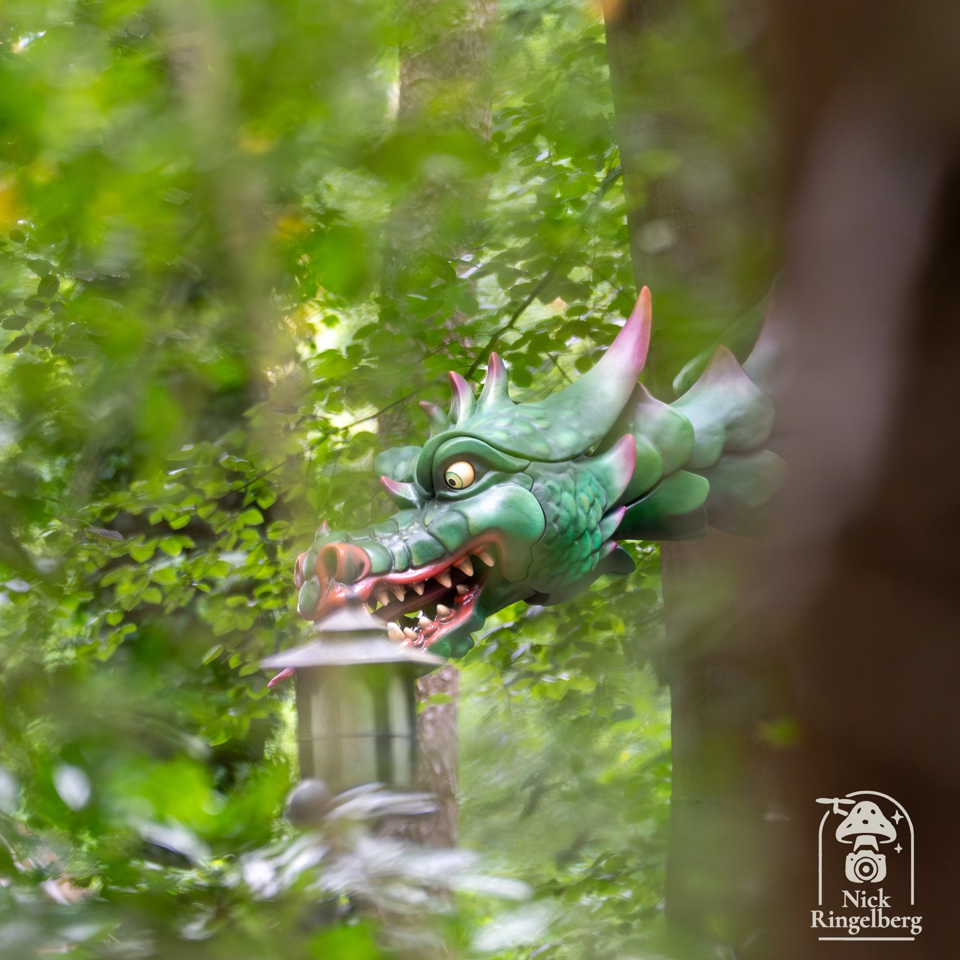 Draak Lichtgeraakt #efteling #draaklichtgeraakt #sprookjesbos #draak #themeparks