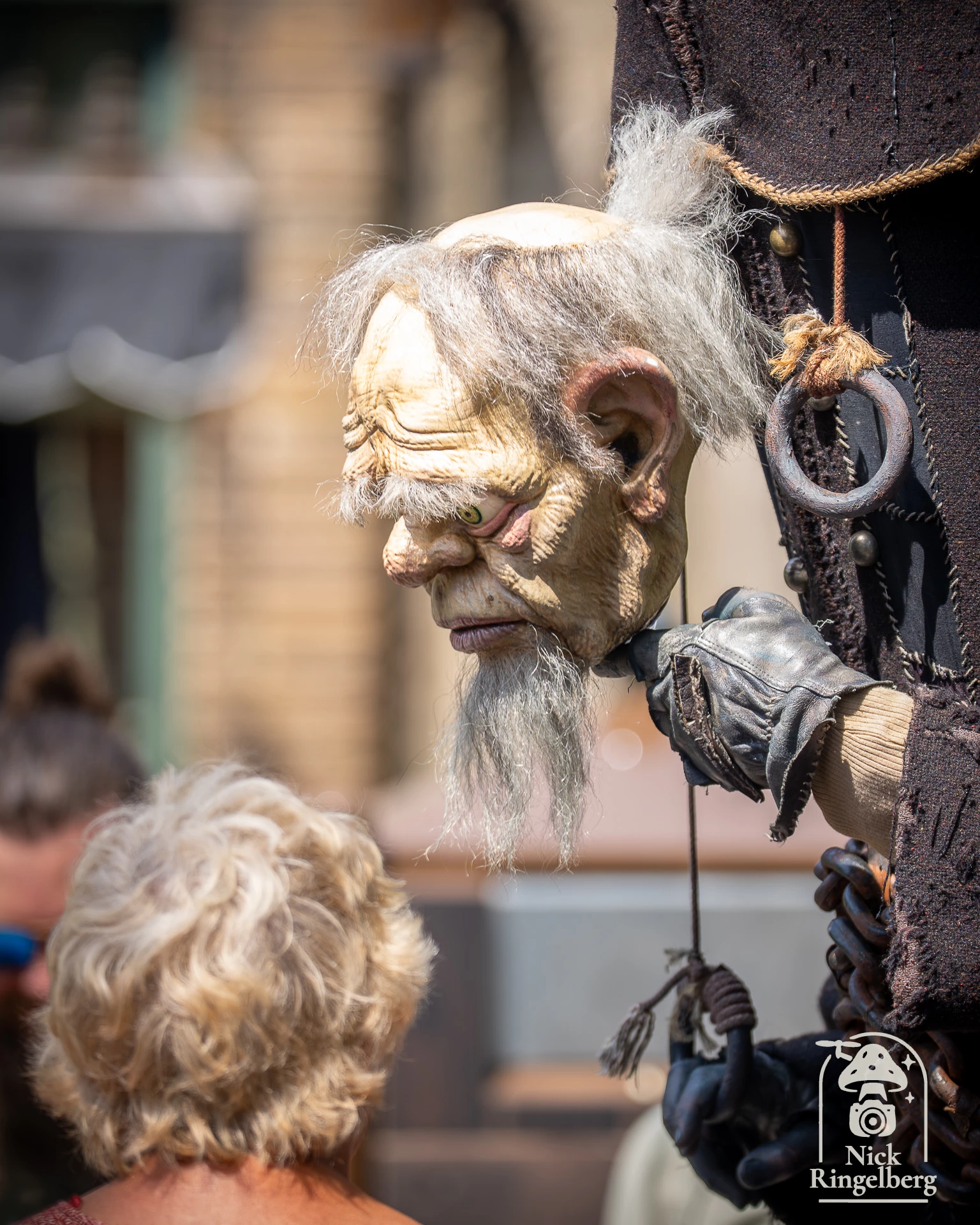Zomer Efteling #efteling #themeparks #zomerefteling