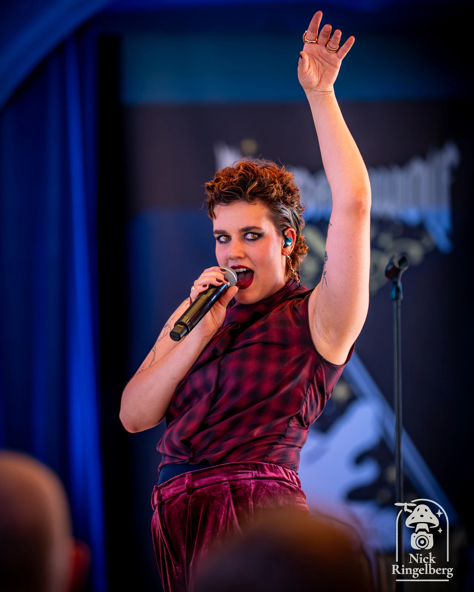 The Big Bad Wolf Band op Efteling Zomerfestival #efteling #themepark #zomerfestival #thebigbadwolfband