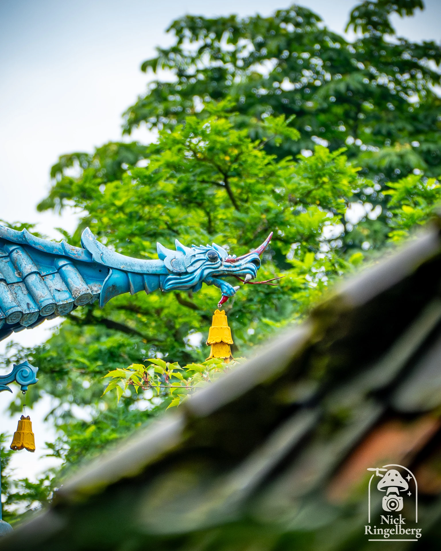 Efteling ❤️ #efteling #themepark #zomer #sprookjesbos #jeroen