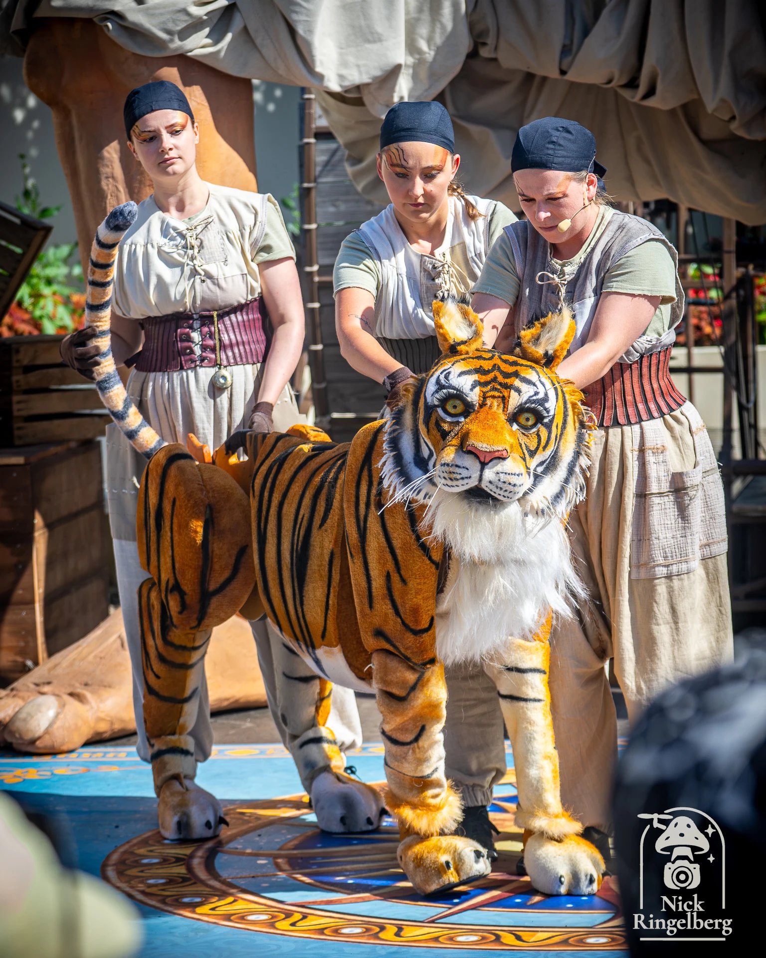De zomer Efteling is weer van start! Waar kijk jij het meeste naar uit #efteling #zomerefteling #themeparks #summer