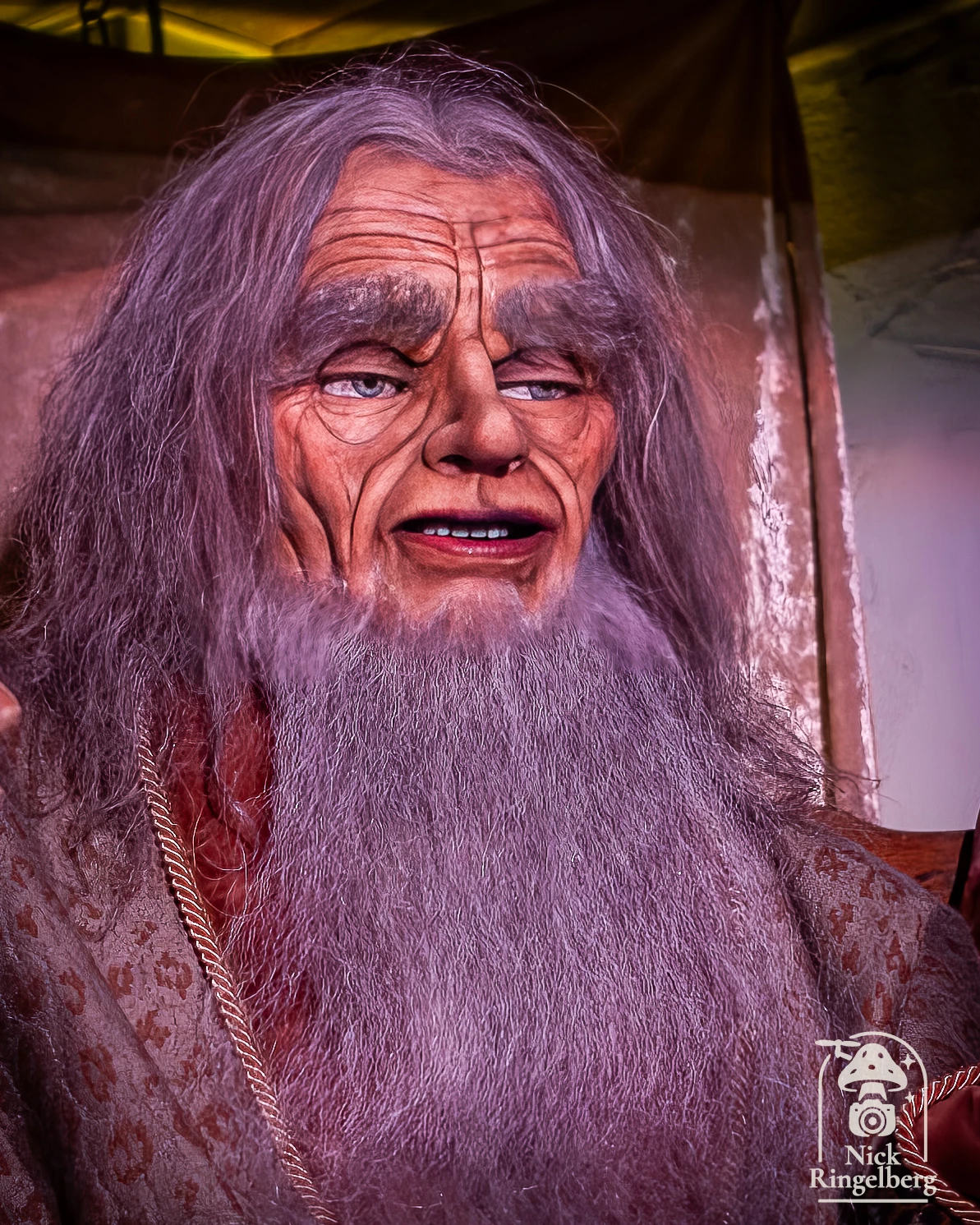 De Efteling in 10 foto's. #efteling #themeparks #photo