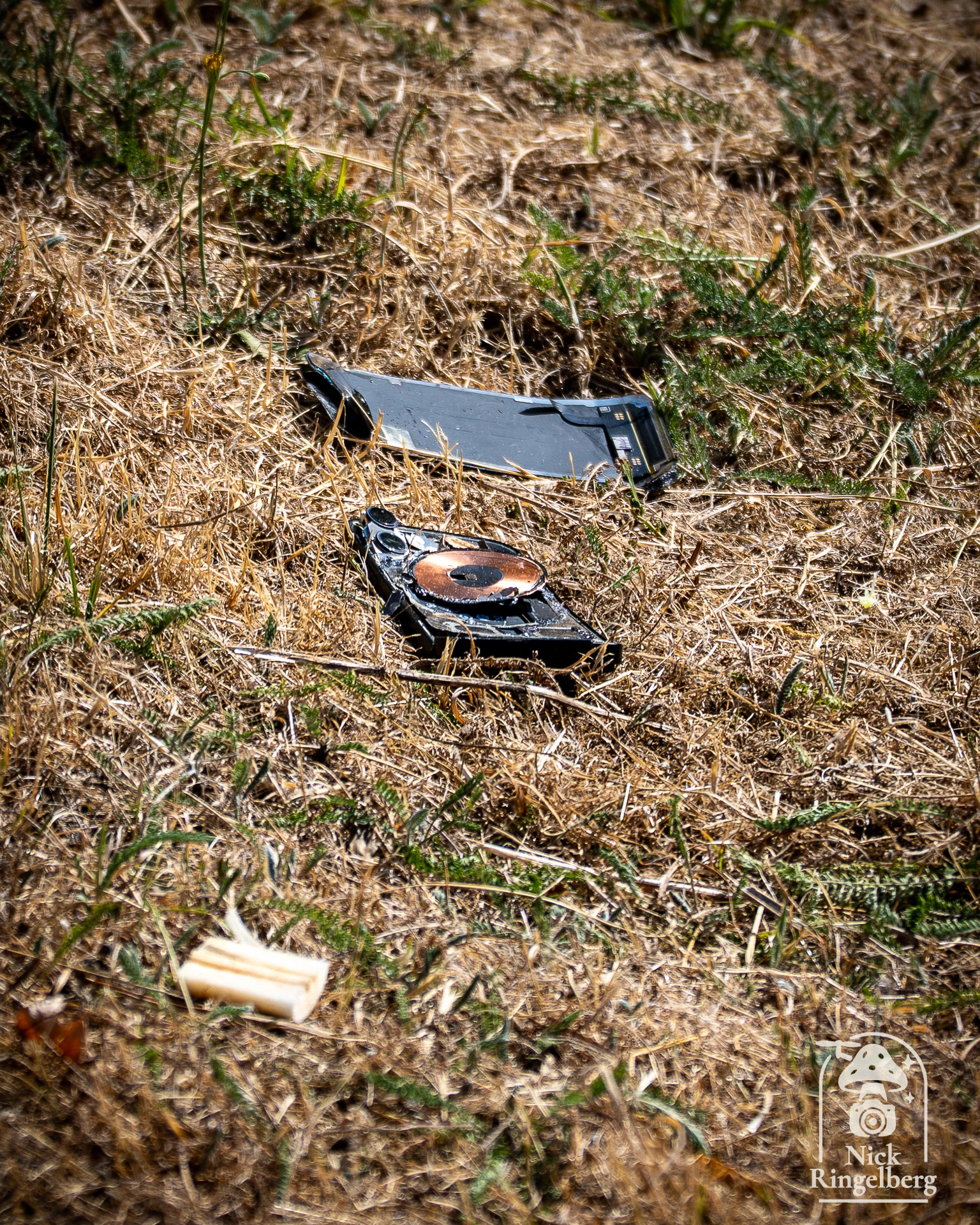 Er vallen dus toch nog veel dingen uit een achtbaan! Net zoals een telefoon! Ben jij wel eens wat verloren? #ParcAsterix #toutatis #rollercoaster #coaster #themeparks