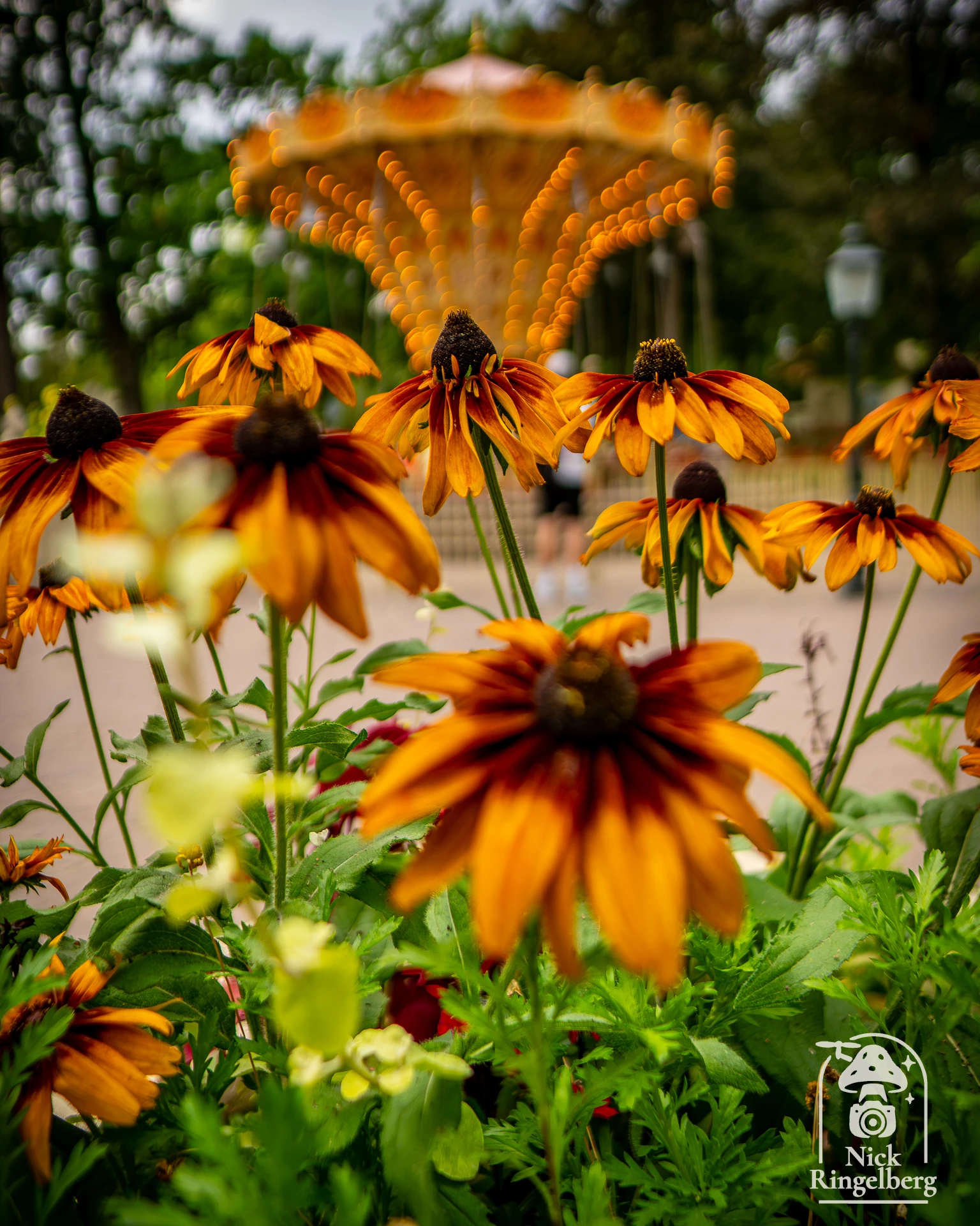 Vlinder en Bloemen #efteling #themeparks #flowers #brabant