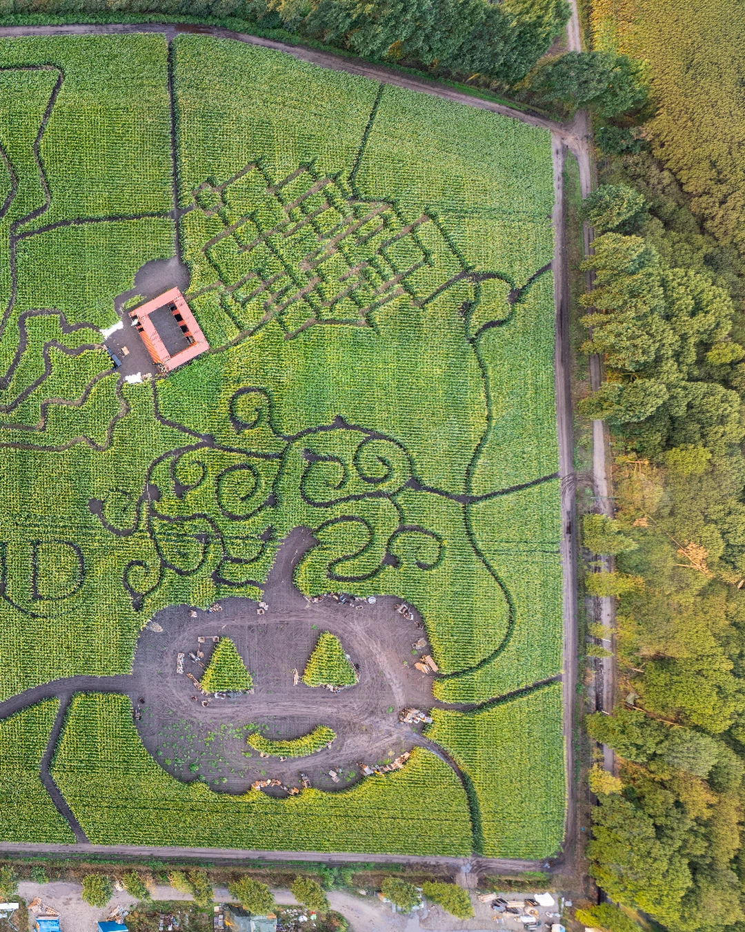Doolhof! #toverland #themeparks #maze #labyrint #halloween
