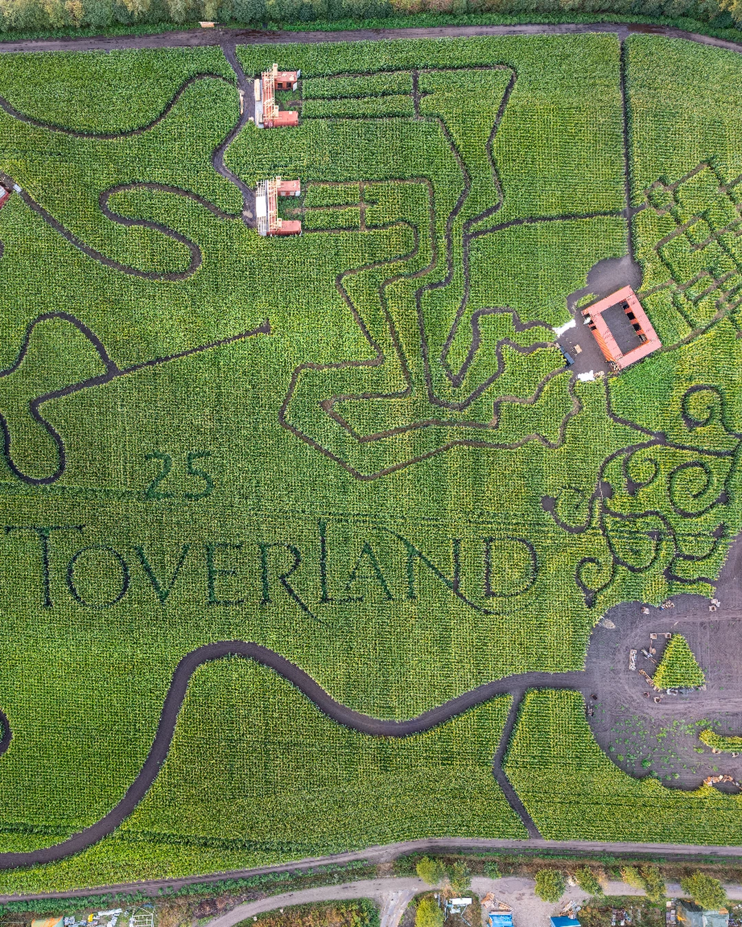 Doolhof! #toverland #themeparks #maze #labyrint #halloween