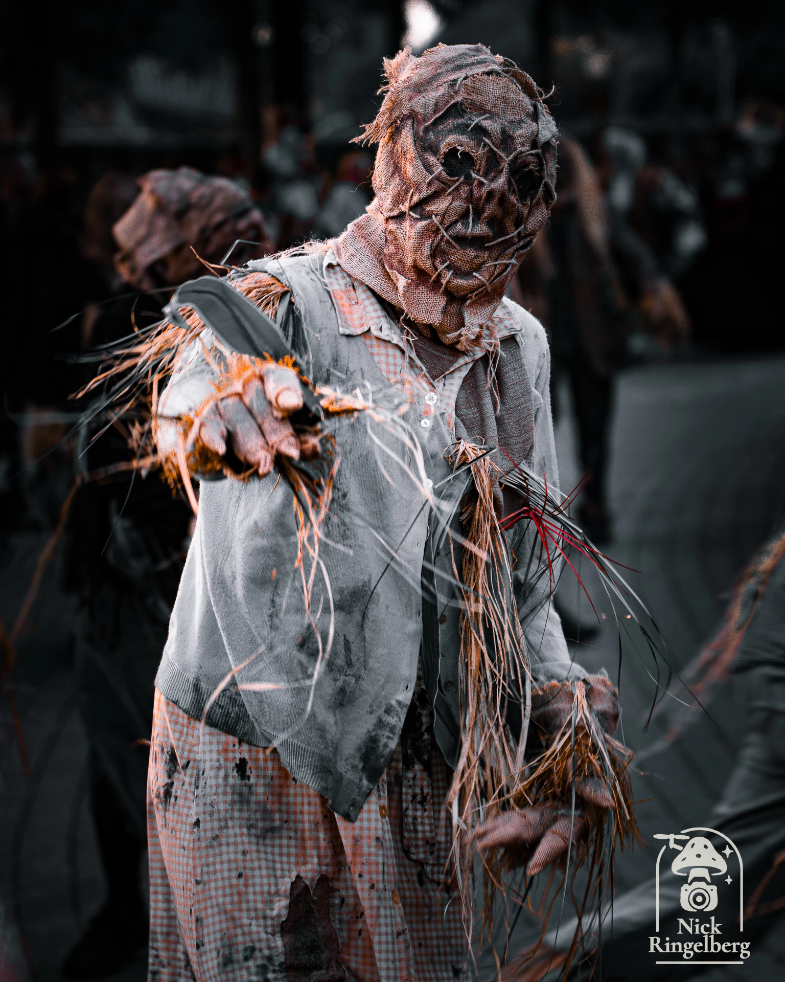 Toverland Halloween 2026

#toverland #halloween #themeparks