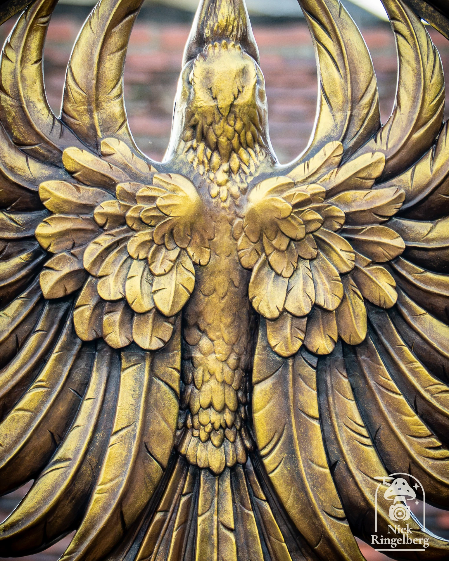 Ravenring bouwupdate #efteling #themeparks #pretparken #ravenring #bouwupdate
