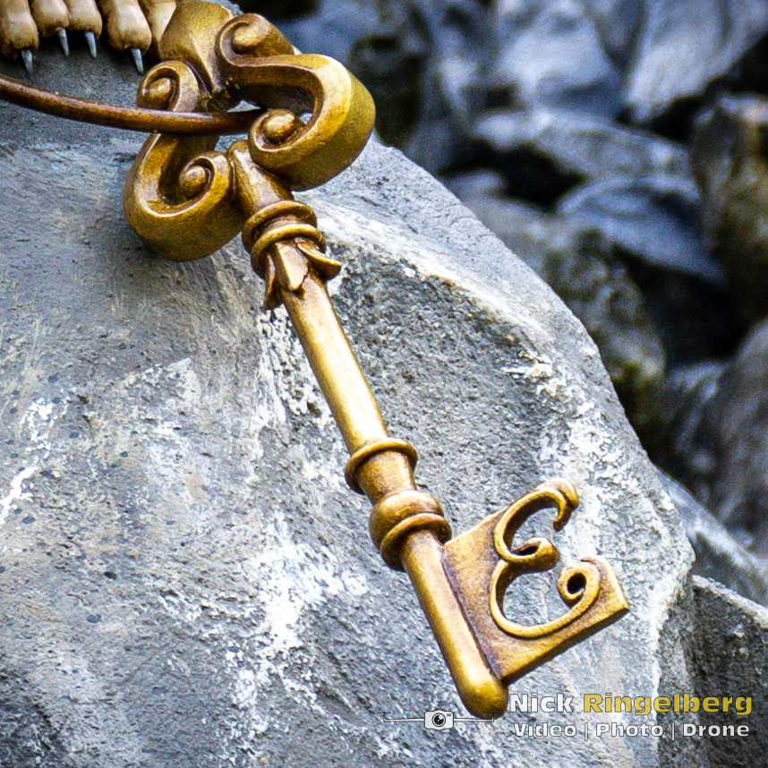 Doornroosje Detail foto wachter en uil