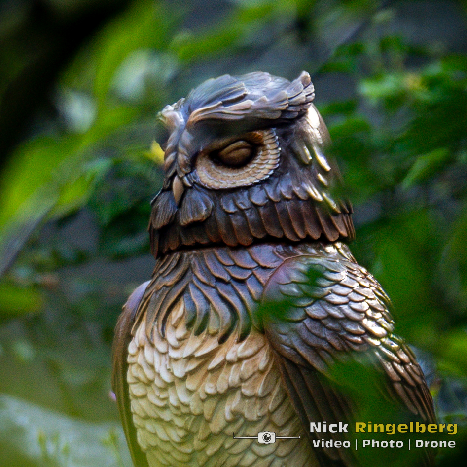 Doornroosje Detail foto wachter en uil