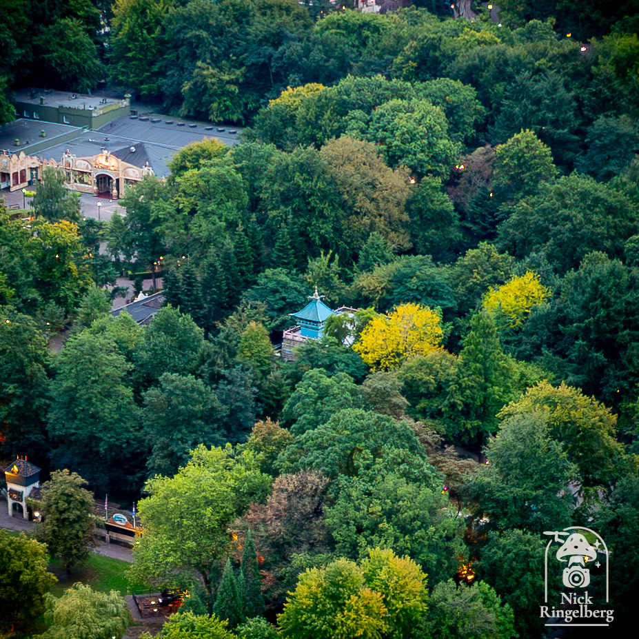 De chinese nachtegaal