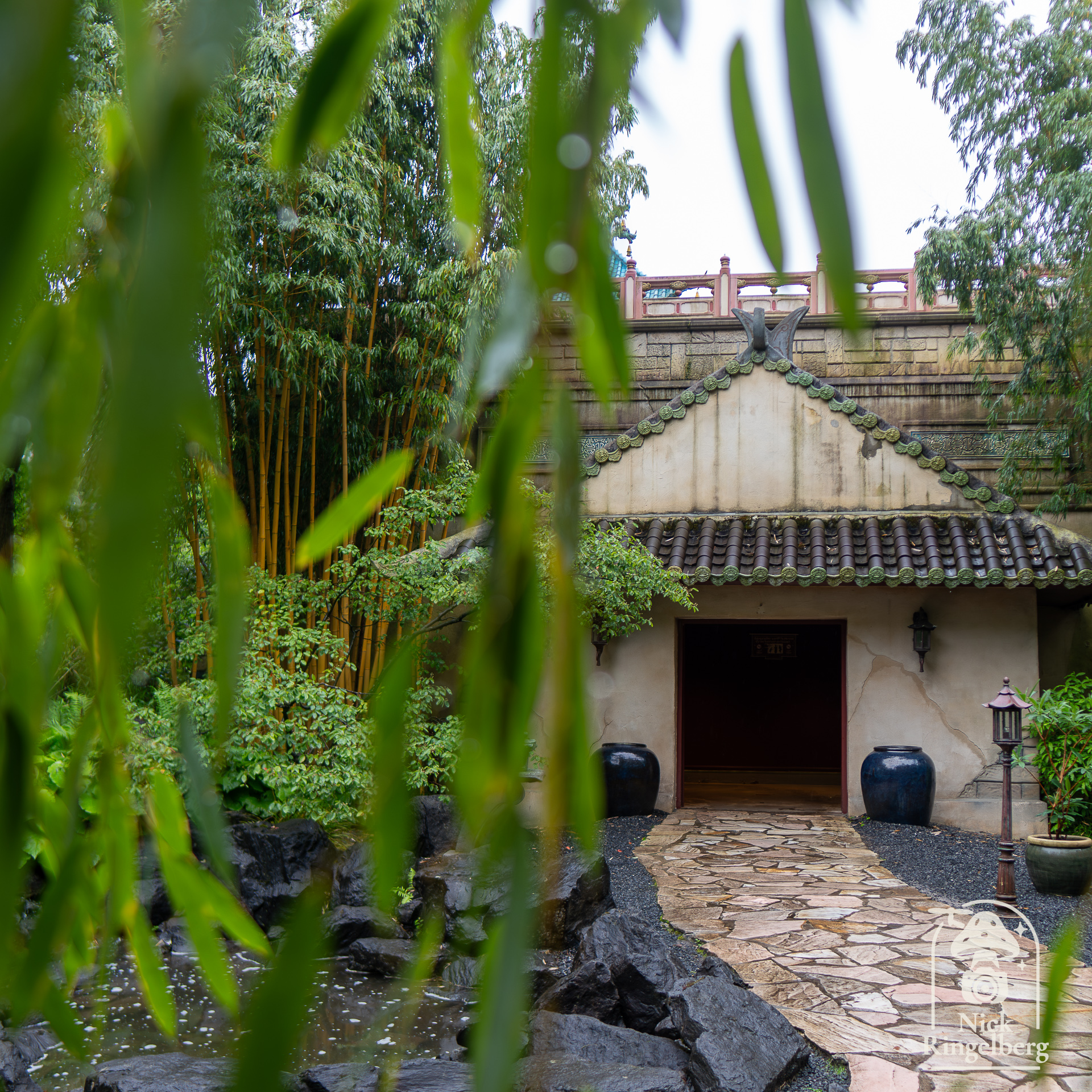 De chinese nachtegaal