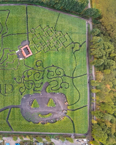 Doolhof!

#toverland #themeparks #maze #labyrint #halloween