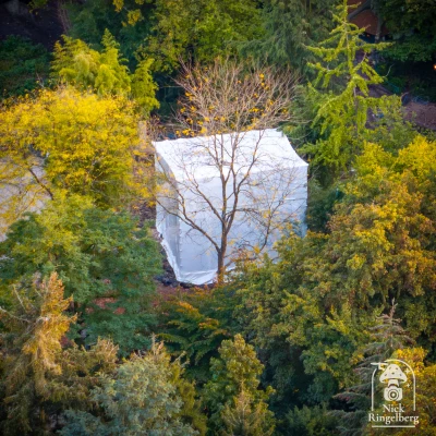 Sprookjesbieb bouwupdate!

#efteling #sprookjesbos #bouwupdate #themeparks #sprookjesbibliotheek