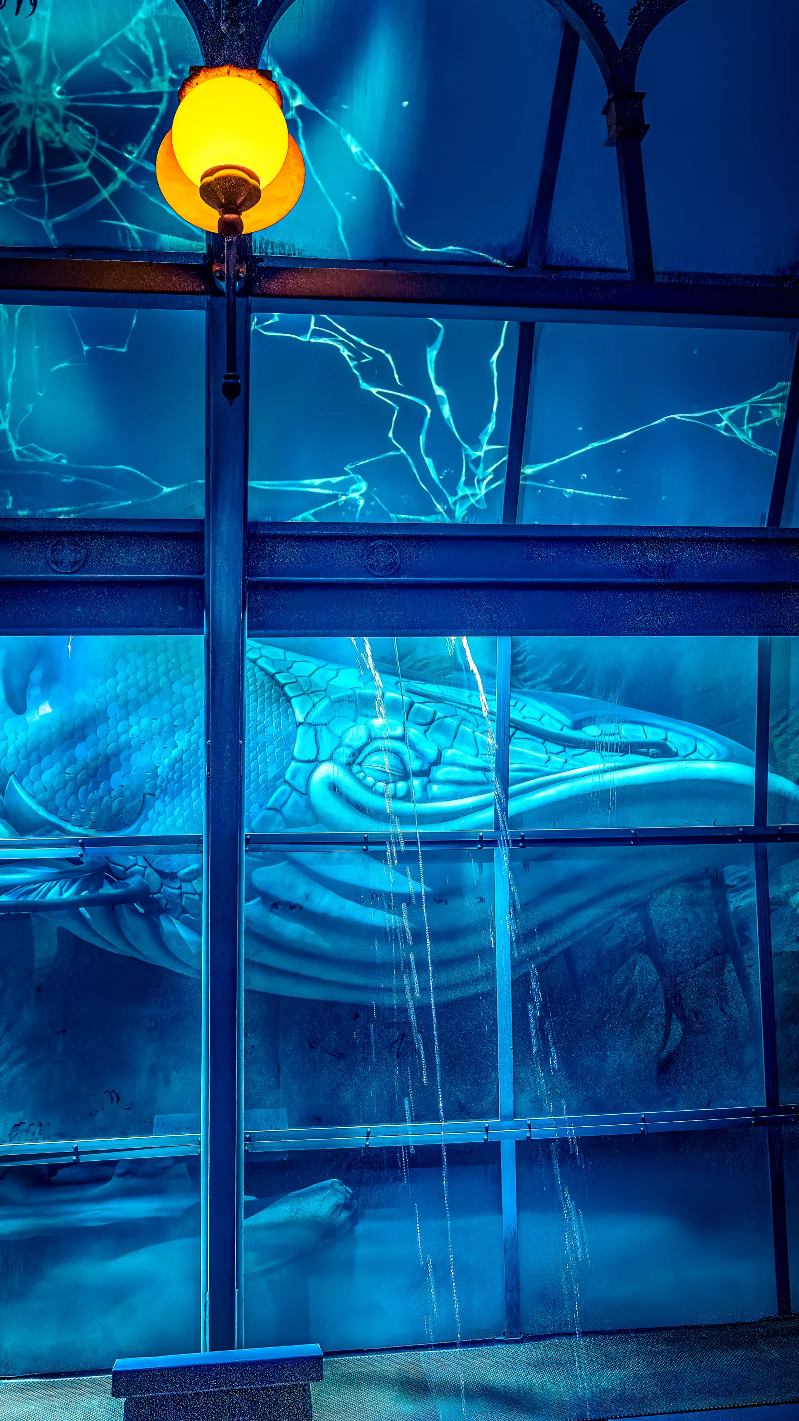 Fabelvis uit Symbolica